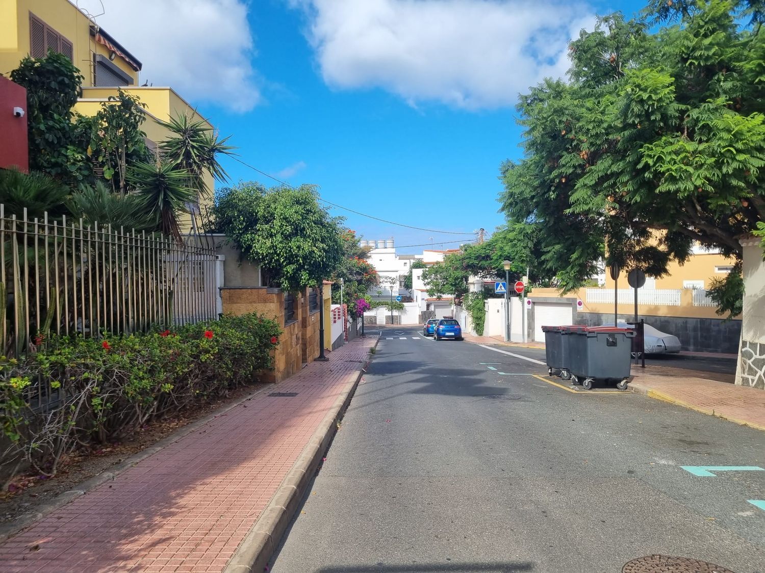 Casas o chalets-Alquiler-Las Palmas de Gran Canaria-1398852-Foto-31