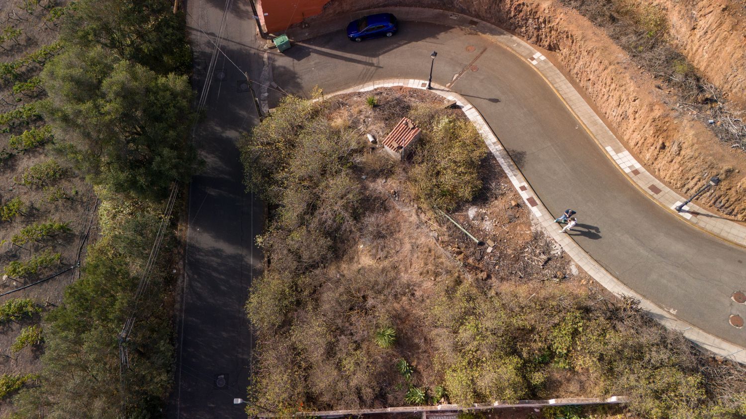 Fincas y solares-Venta-Santa BrÃ­gida-1842735-Foto-5