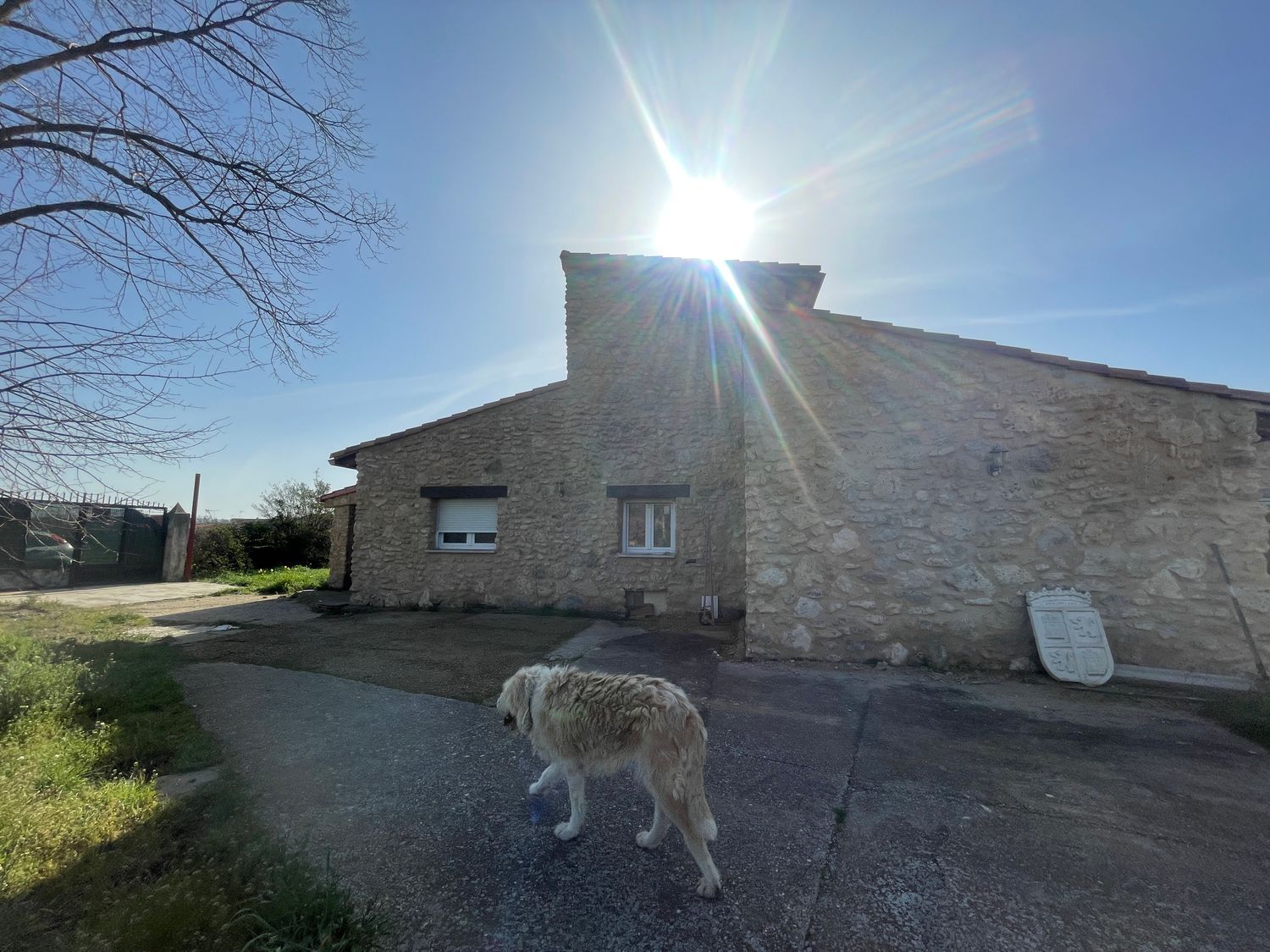 Casas o chalets-Venta-Cubillas de Santa Marta-2015647-Foto-3