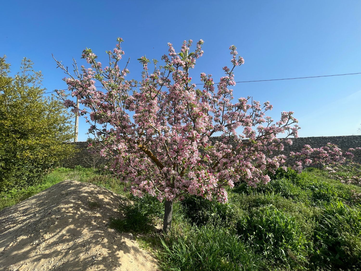 Casas o chalets-Venta-Cubillas de Santa Marta-2015647-Foto-10