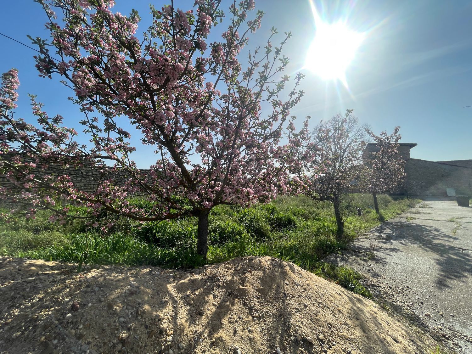 Casas o chalets-Venta-Cubillas de Santa Marta-2015647-Foto-15