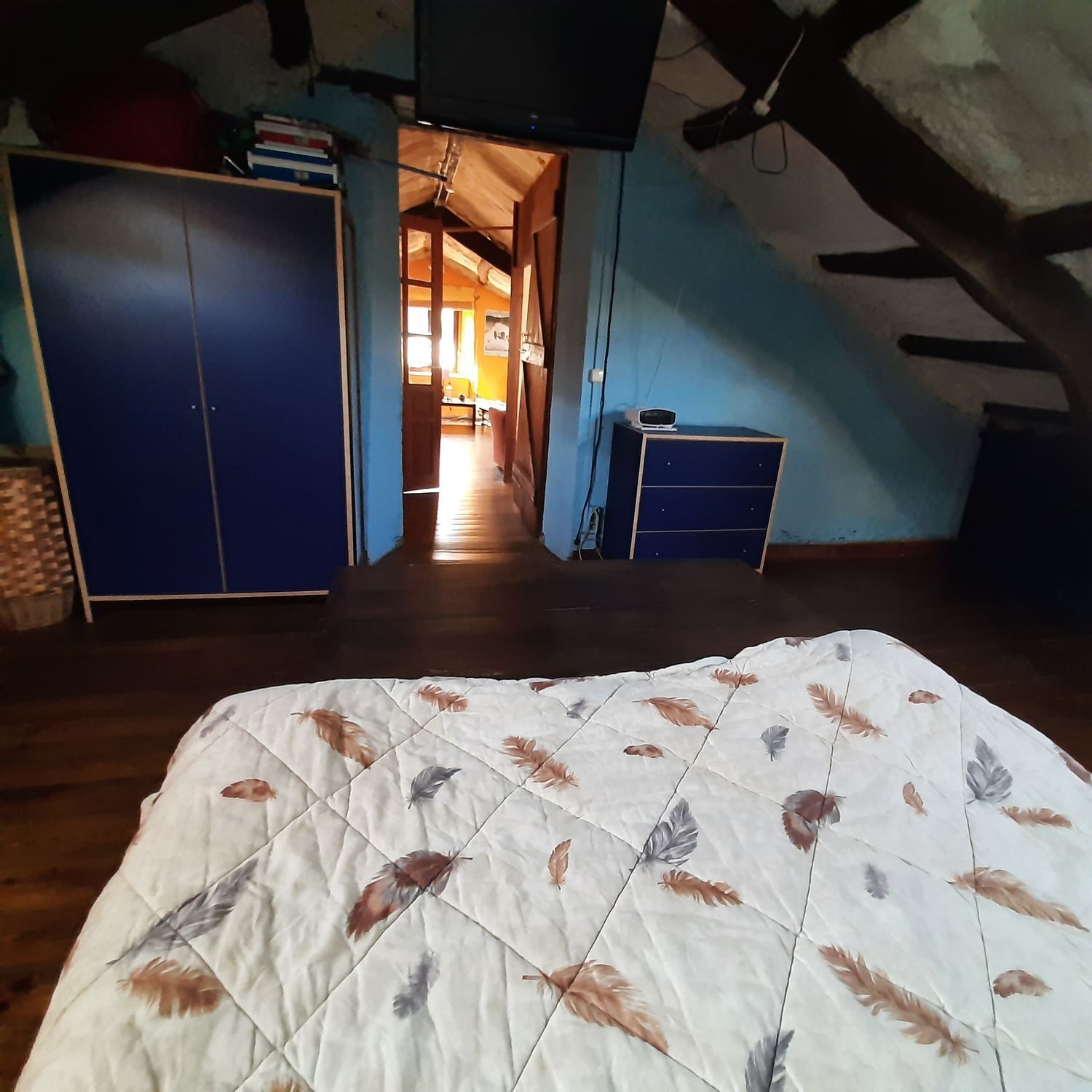 Casas o chalets-Venta-MaÃ±Ã³n-1835032-Foto-19