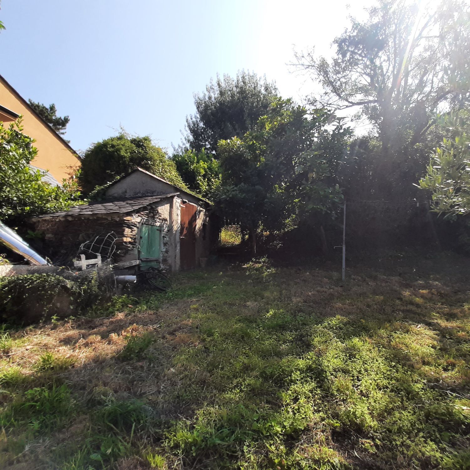 Casas o chalets-Venta-MaÃ±Ã³n-1835032-Foto-24