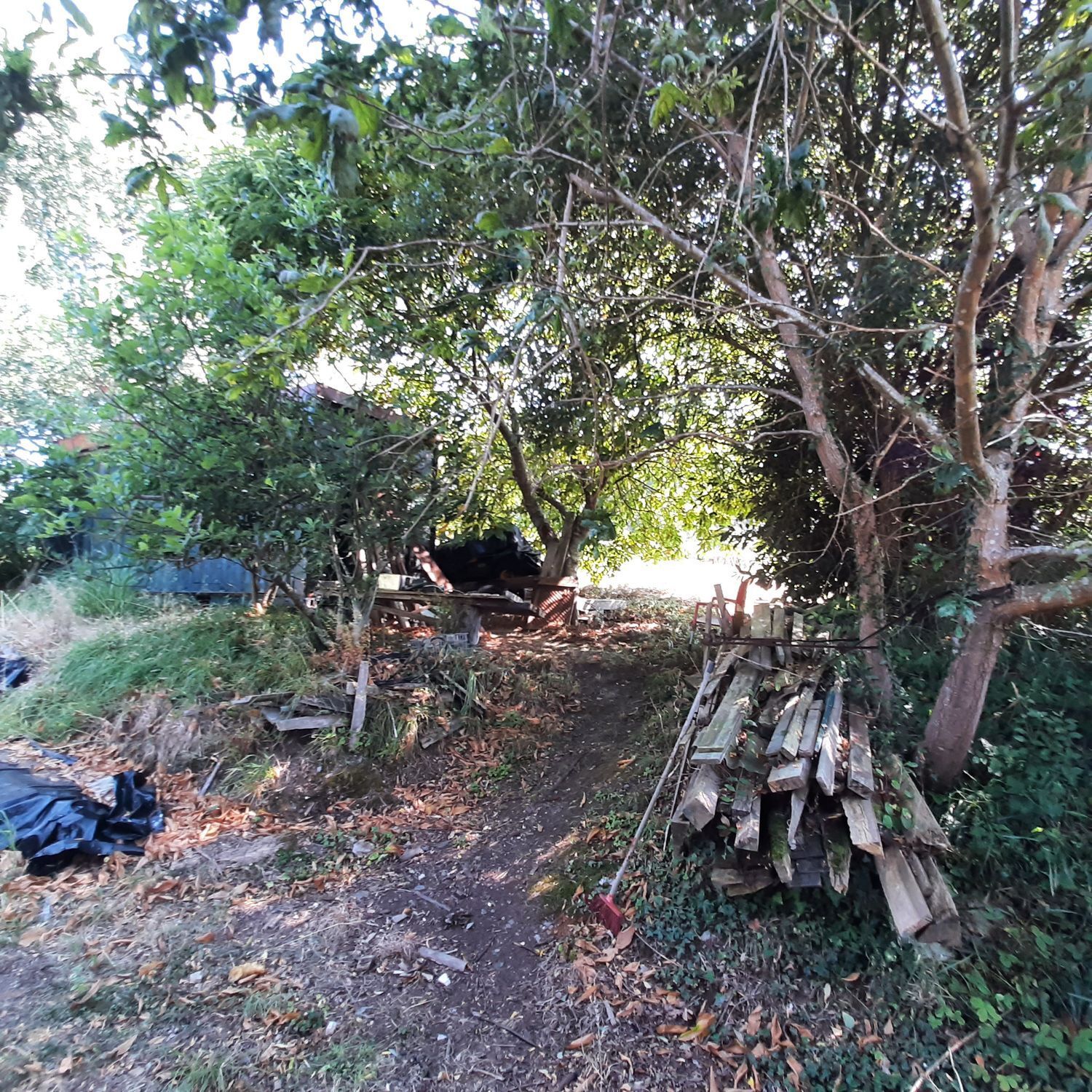 Casas o chalets-Venta-MaÃ±Ã³n-1835032-Foto-28