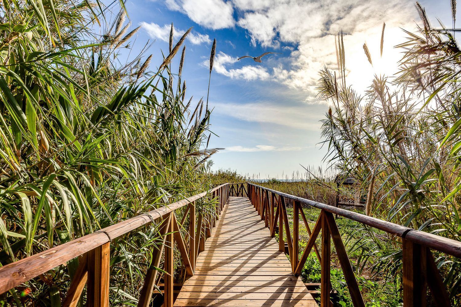 Pisos-Venta-Santa Pola-2015653-Foto-67