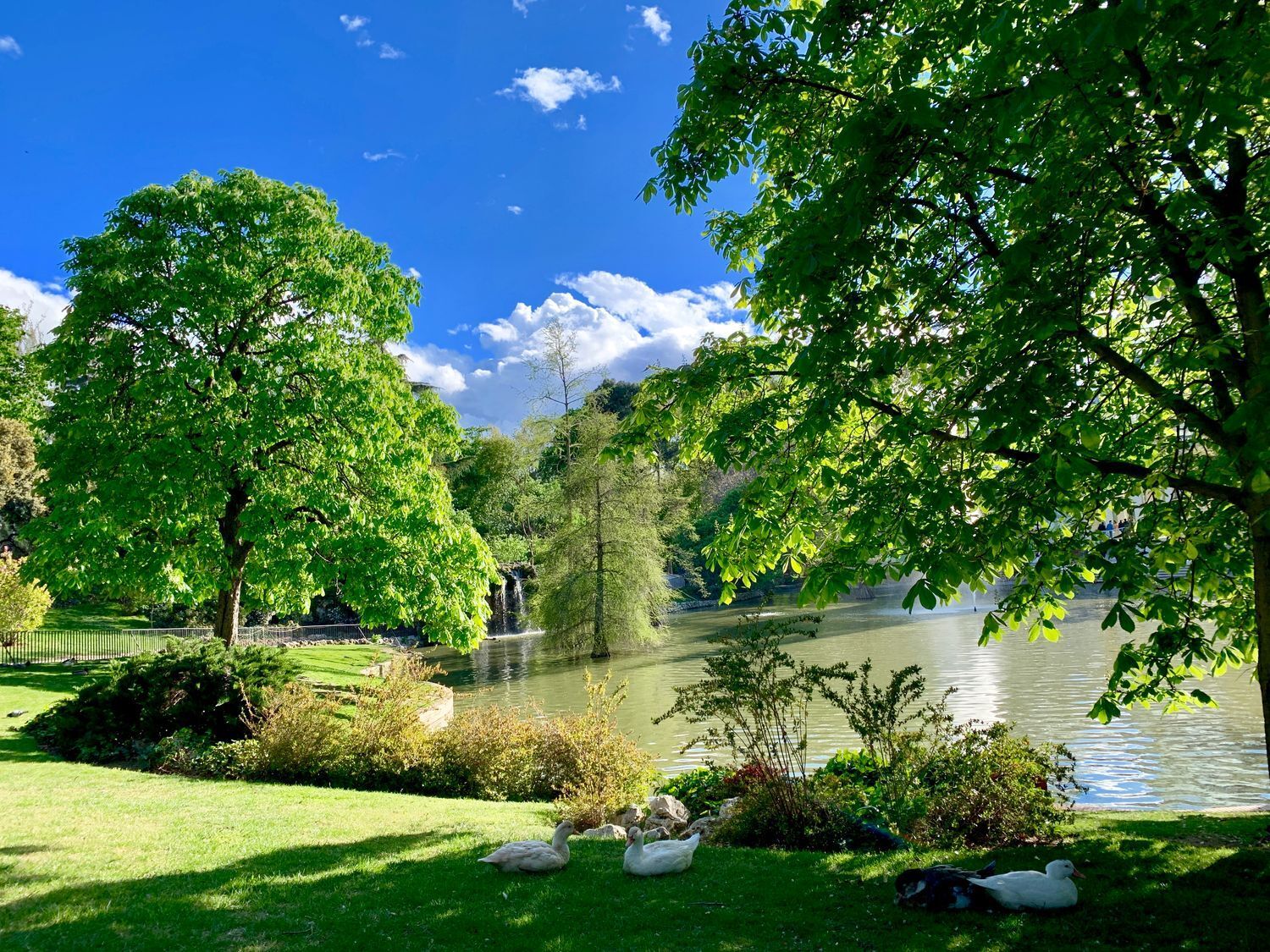 Pisos-Alquiler-Madrid-2010640-Foto-24