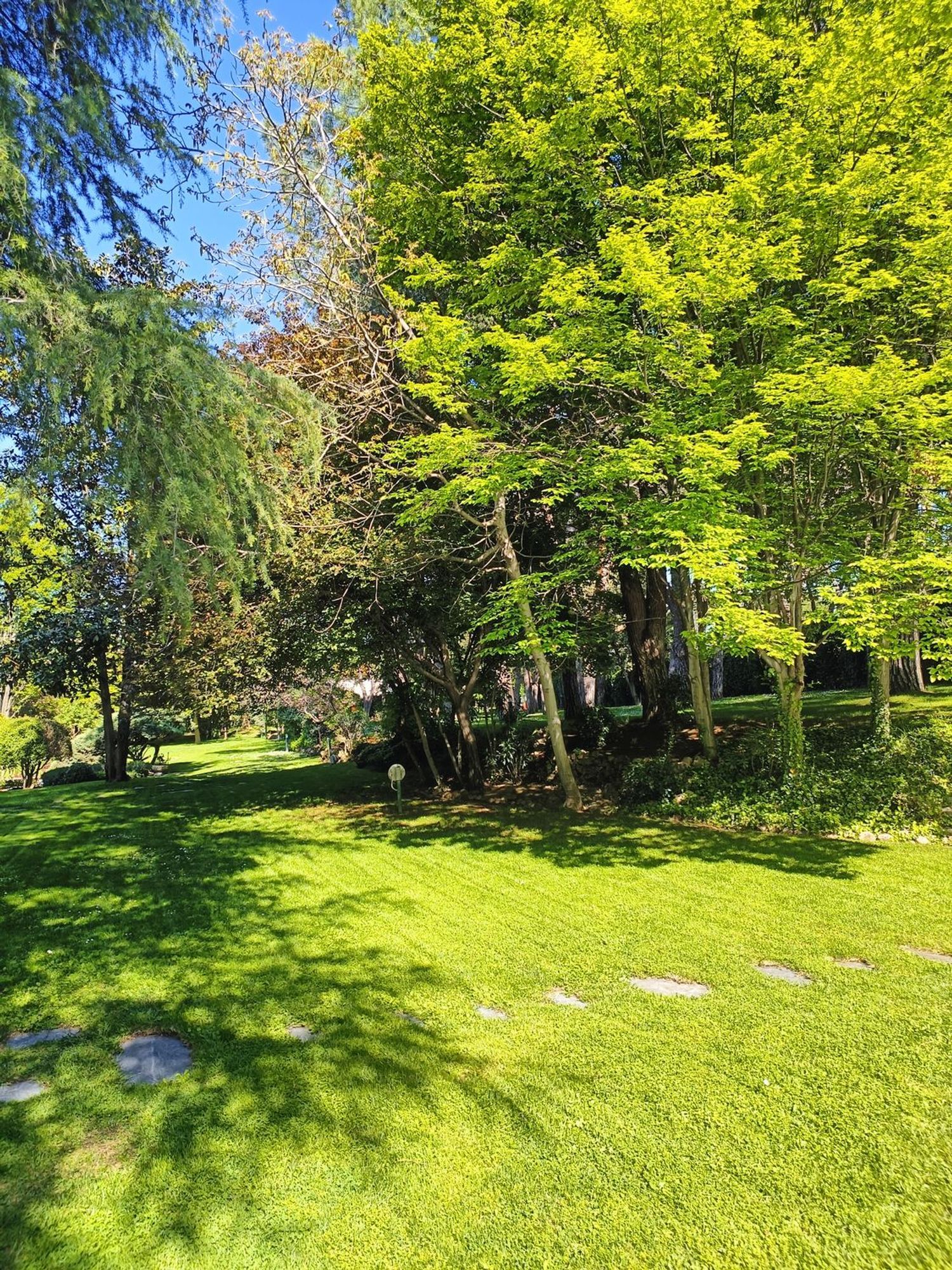 Pisos-Venta-Moraleja-1731436-Foto-31