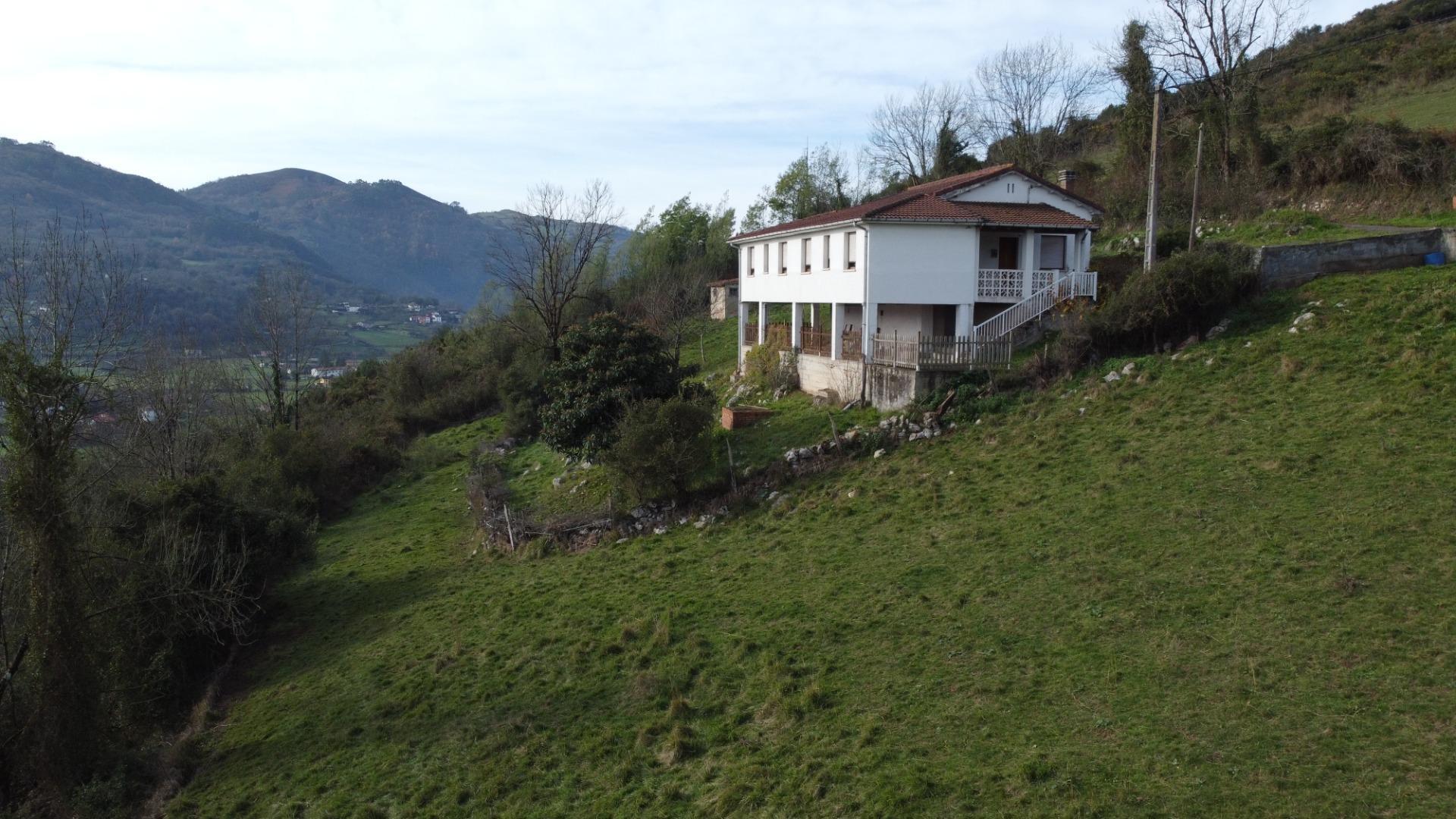 Fincas y solares-Venta-Oviedo-2015665-Foto-14