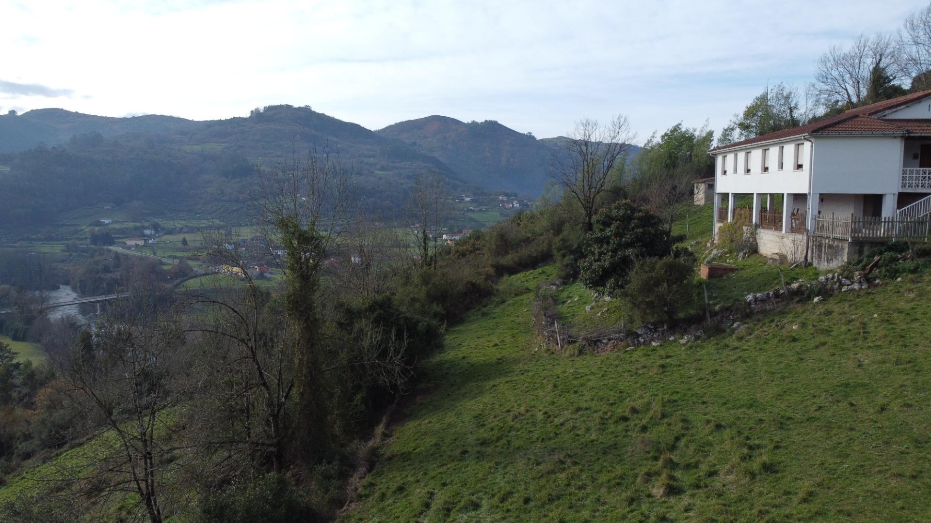 Fincas y solares-Venta-Oviedo-2015665-Foto-15