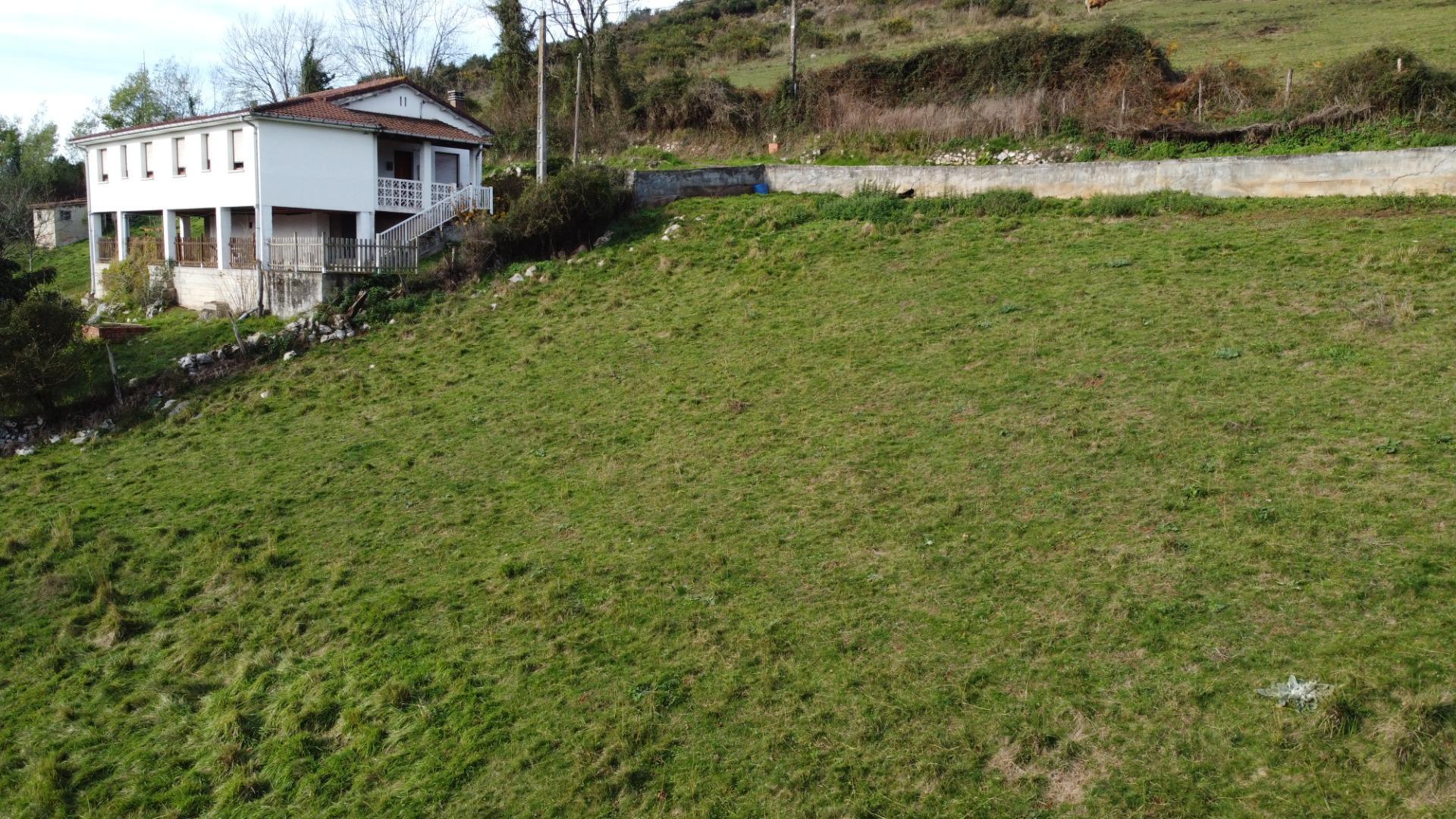 Fincas y solares-Venta-Oviedo-2015665-Foto-16