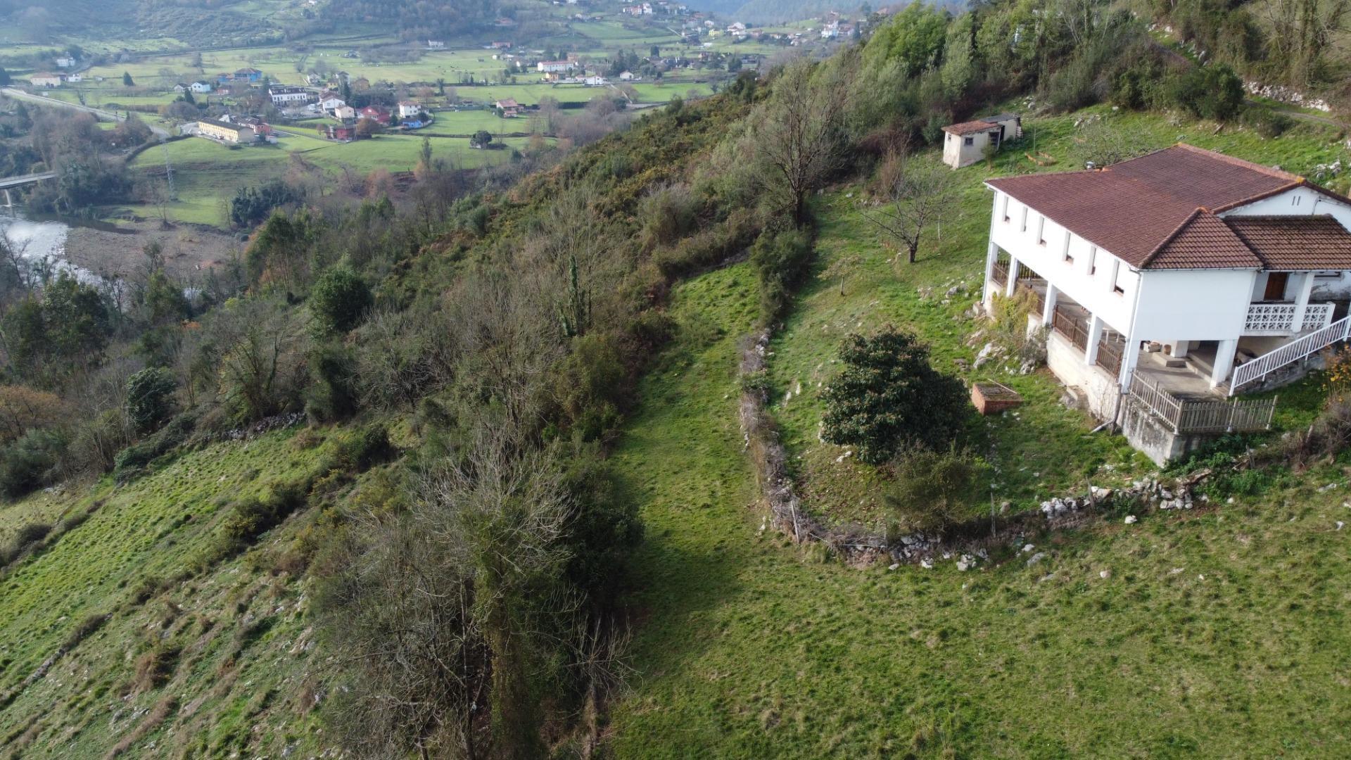 Fincas y solares-Venta-Oviedo-2015665-Foto-19