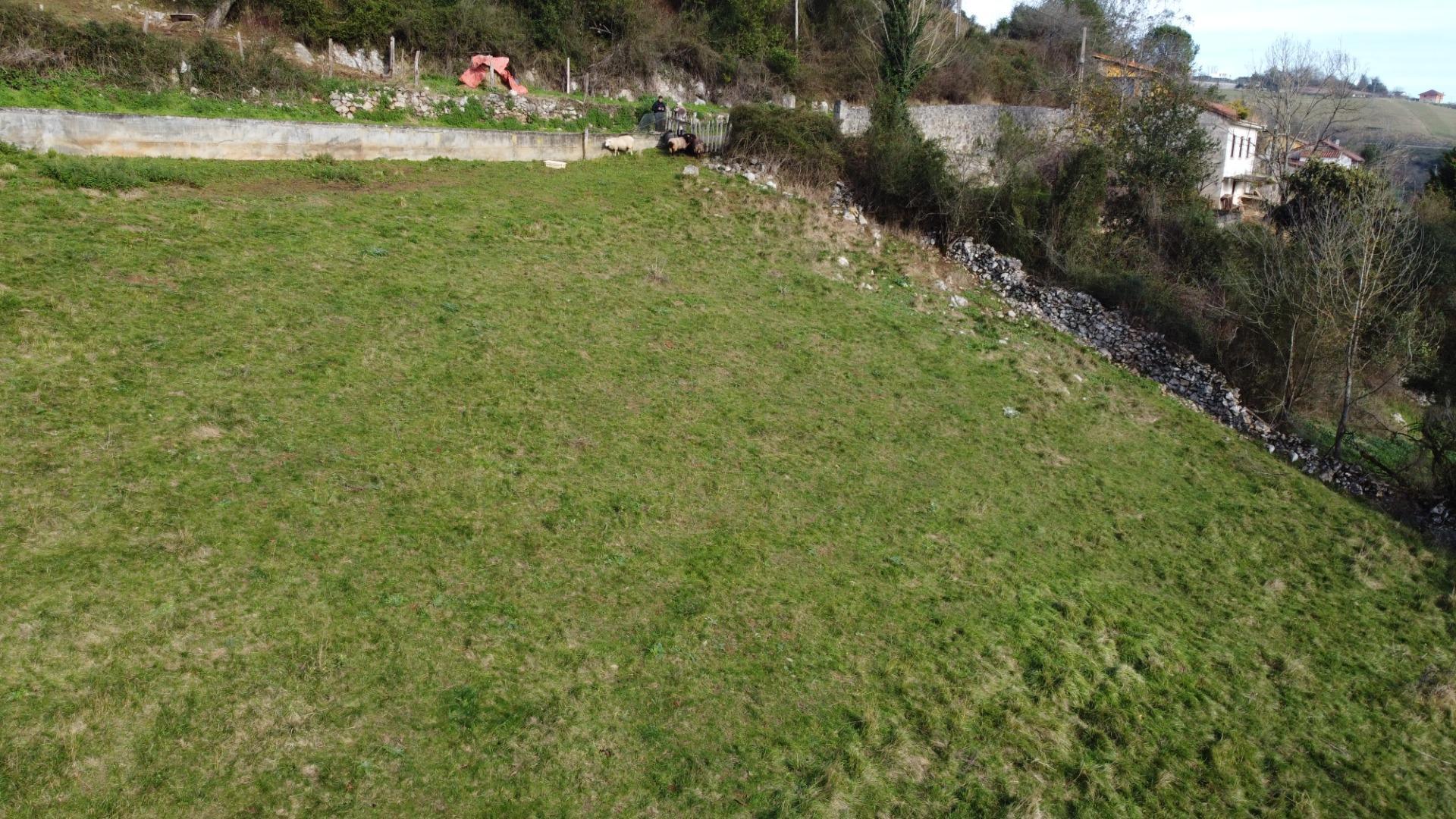 Fincas y solares-Venta-Oviedo-2015665-Foto-21