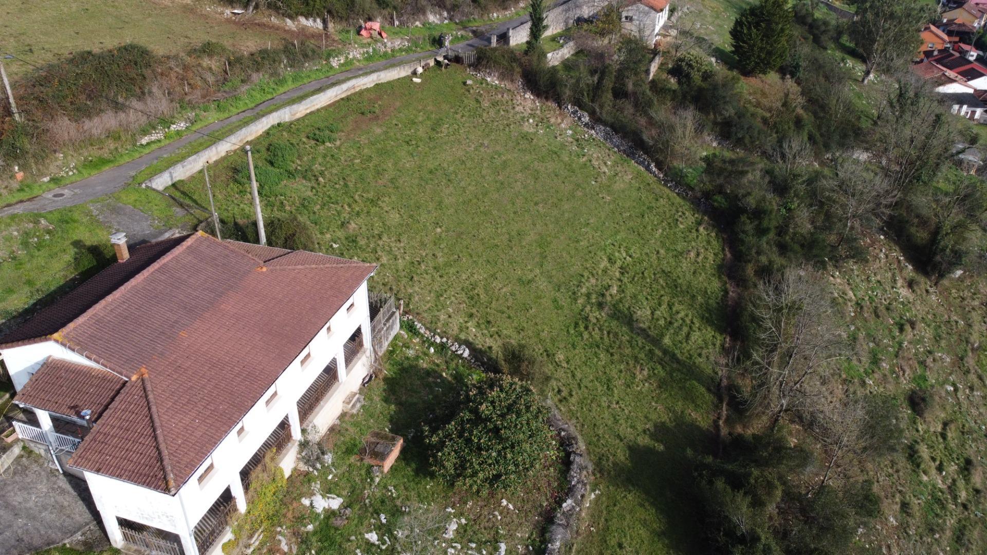 Fincas y solares-Venta-Oviedo-2015665-Foto-28