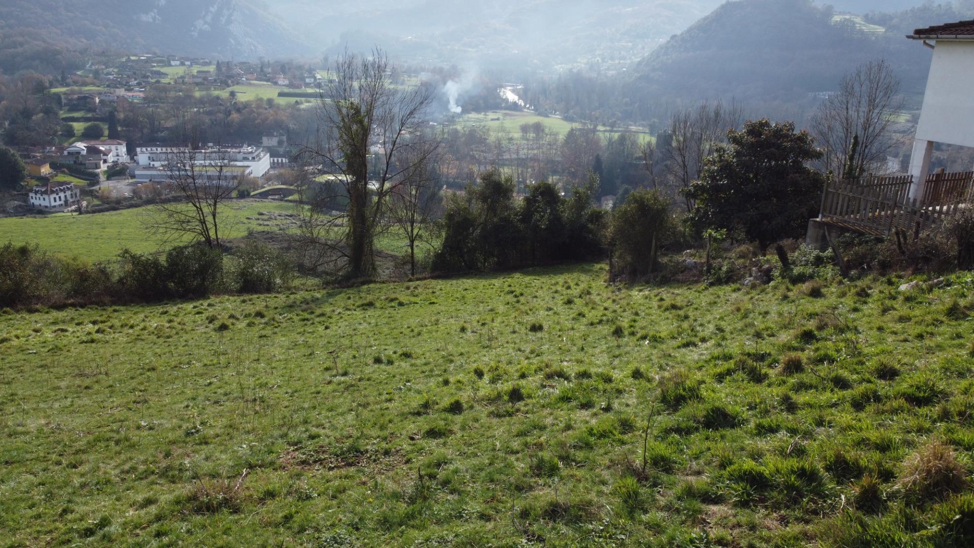 Fincas y solares-Venta-Oviedo-2015665-Foto-30