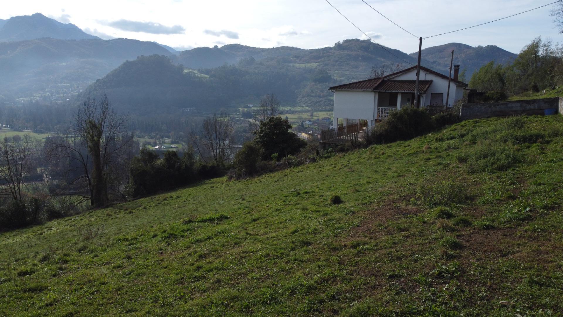 Fincas y solares-Venta-Oviedo-2015665-Foto-32