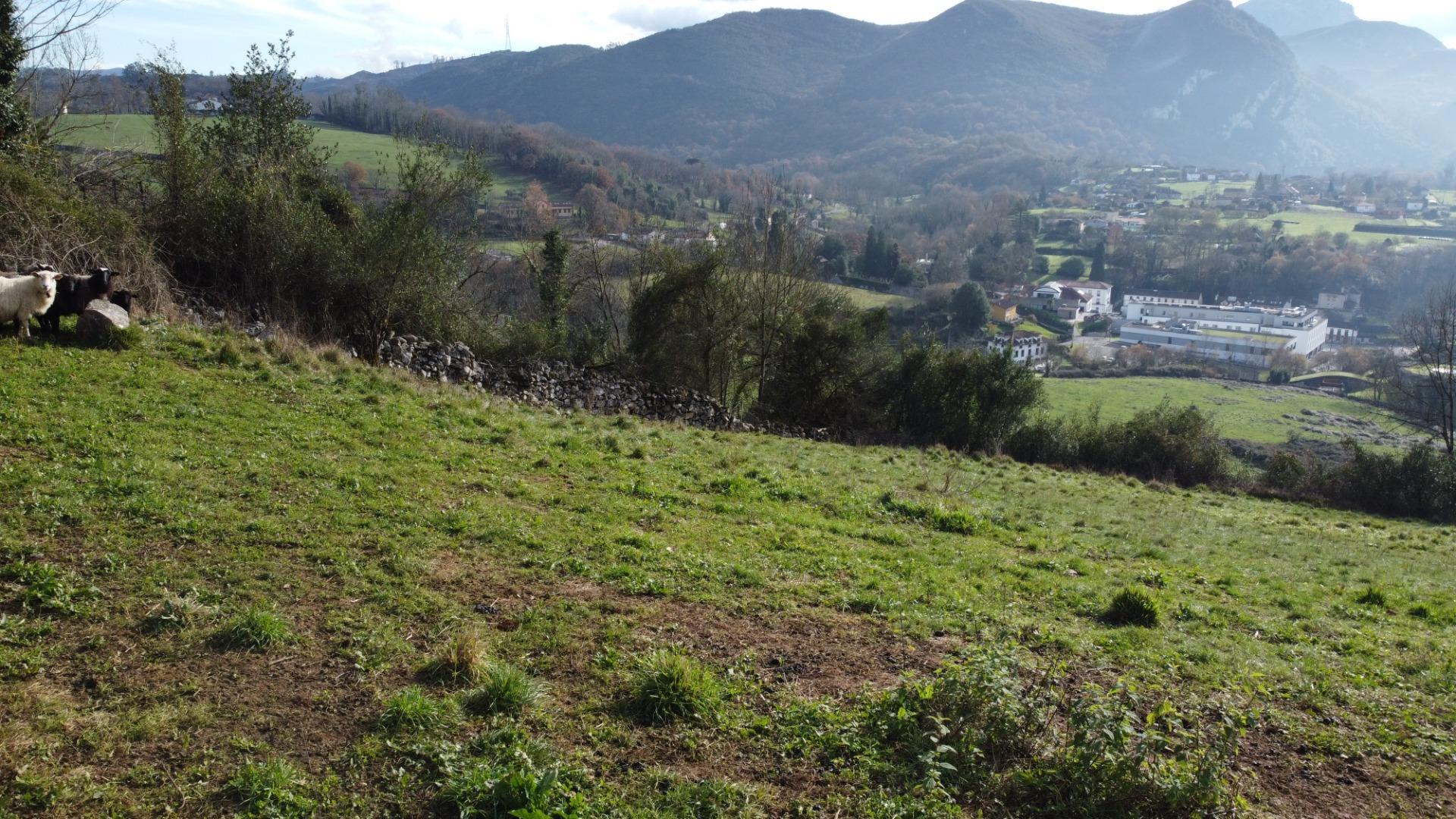 Fincas y solares-Venta-Oviedo-2015665-Foto-34