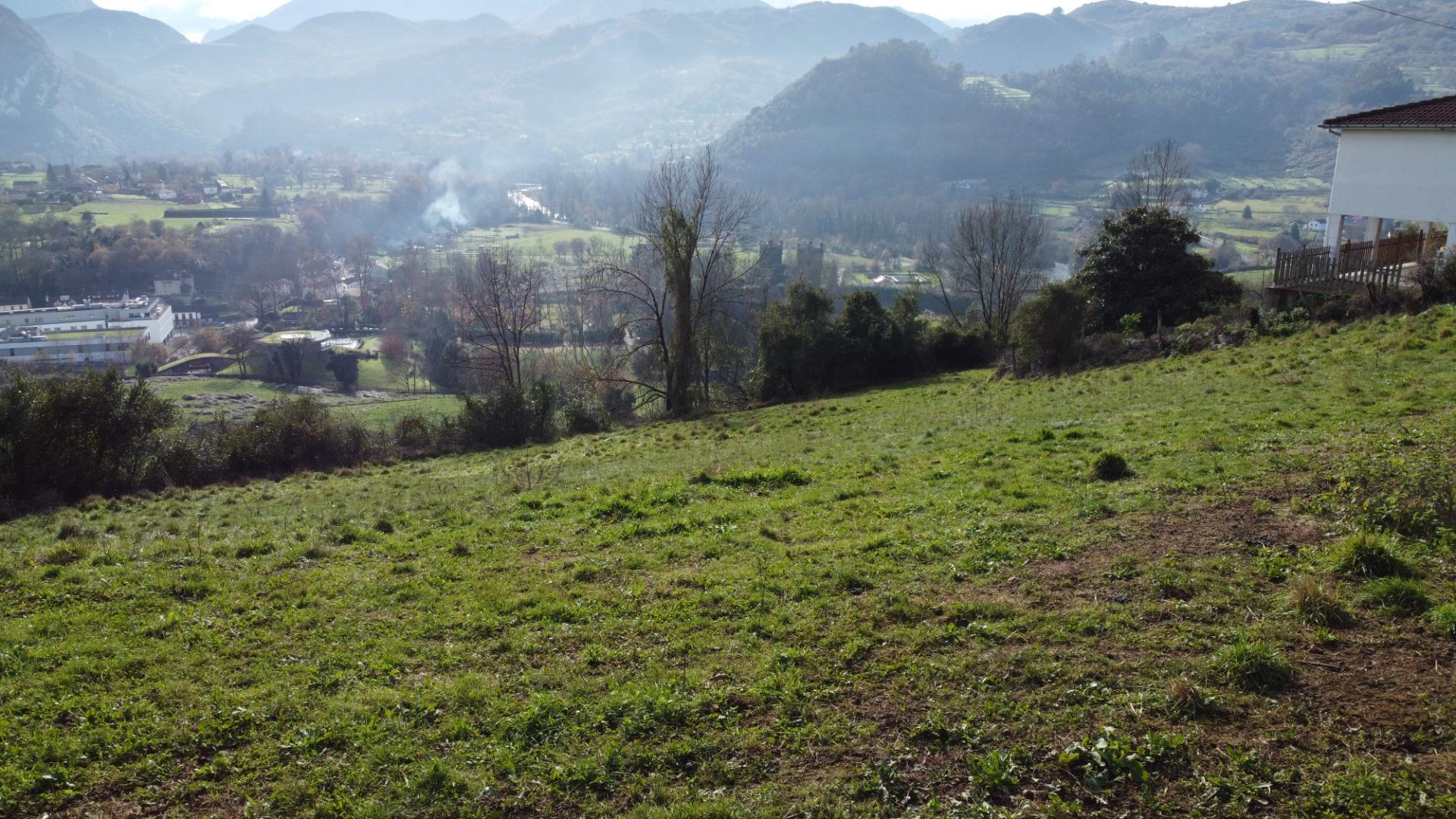 Fincas y solares-Venta-Oviedo-2015665-Foto-33