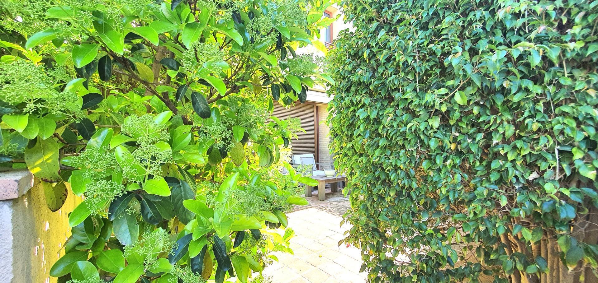 Casas o chalets-Venta-Alicante-1712156-Foto-23