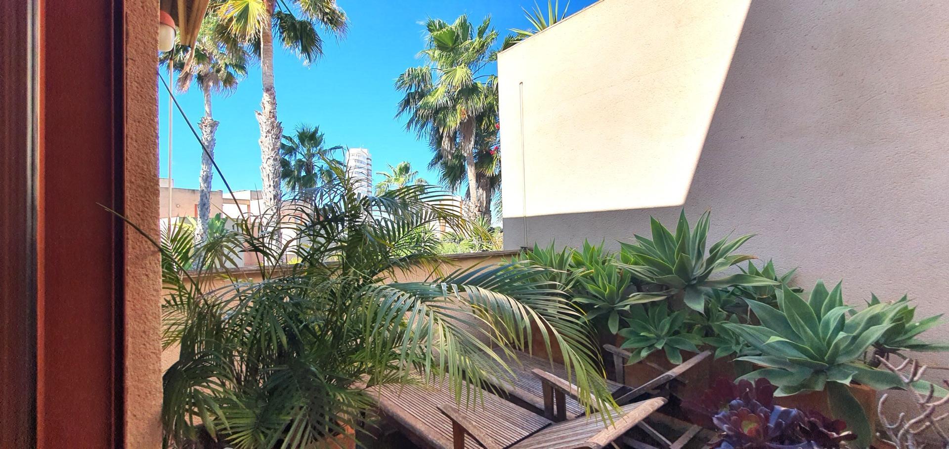 Casas o chalets-Venta-Alicante-1712156-Foto-49