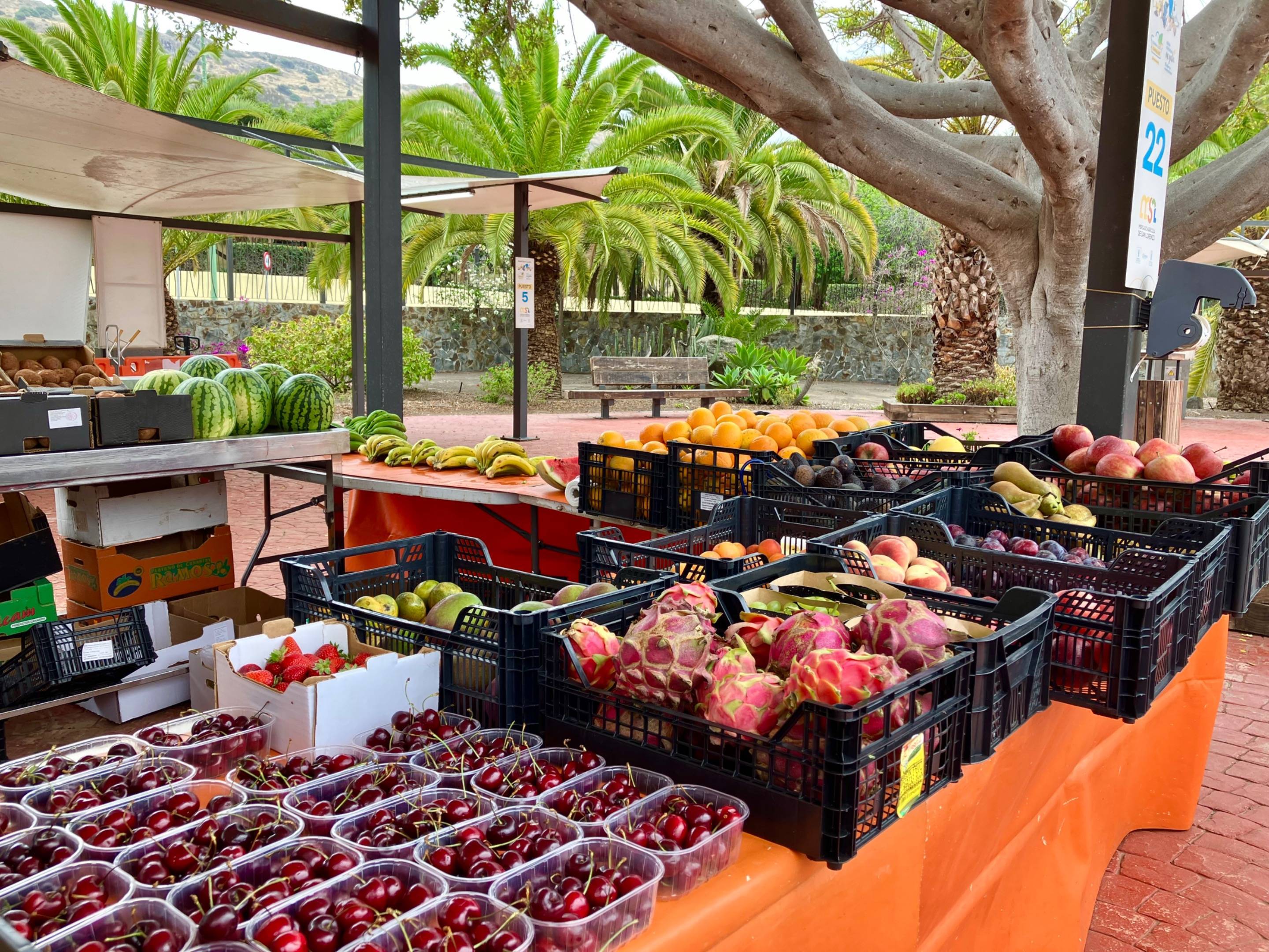 Casas o chalets-Venta-Las Palmas de Gran Canaria-1764327-Foto-55