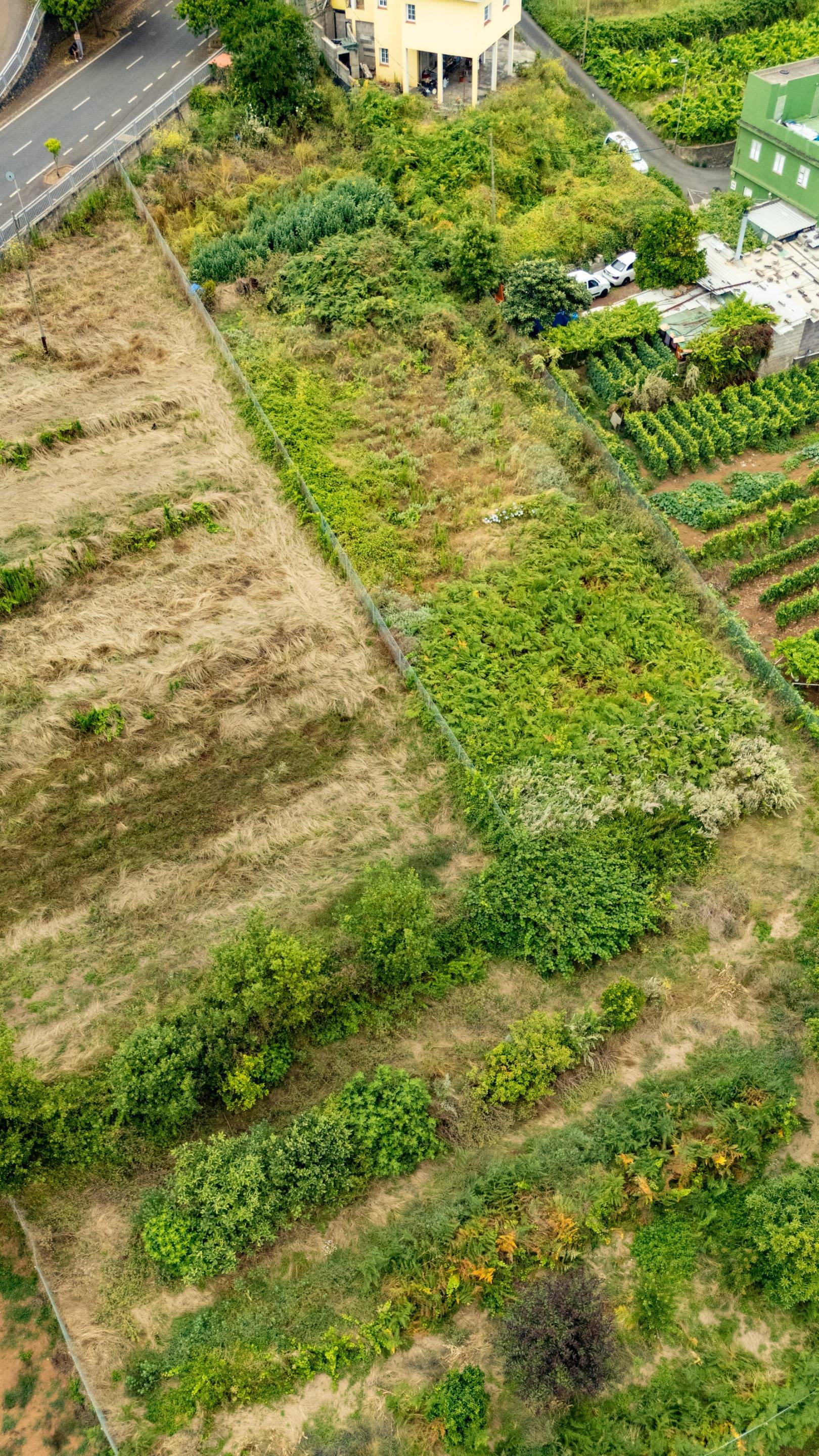 Fincas y solares-Venta-El Sauzal-1830417-Foto-10