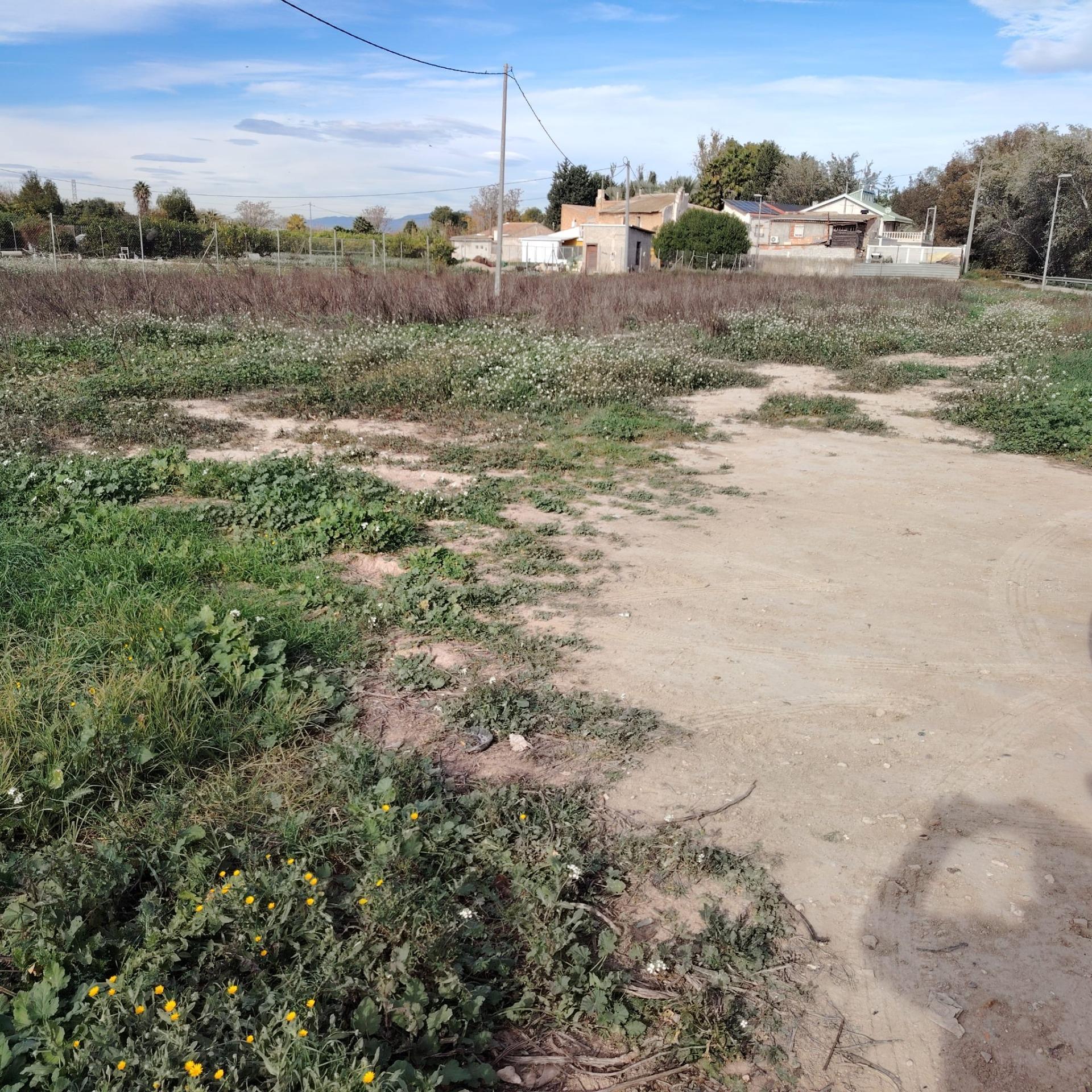 Fincas y solares-Venta-Murcia-2015701-Foto-2