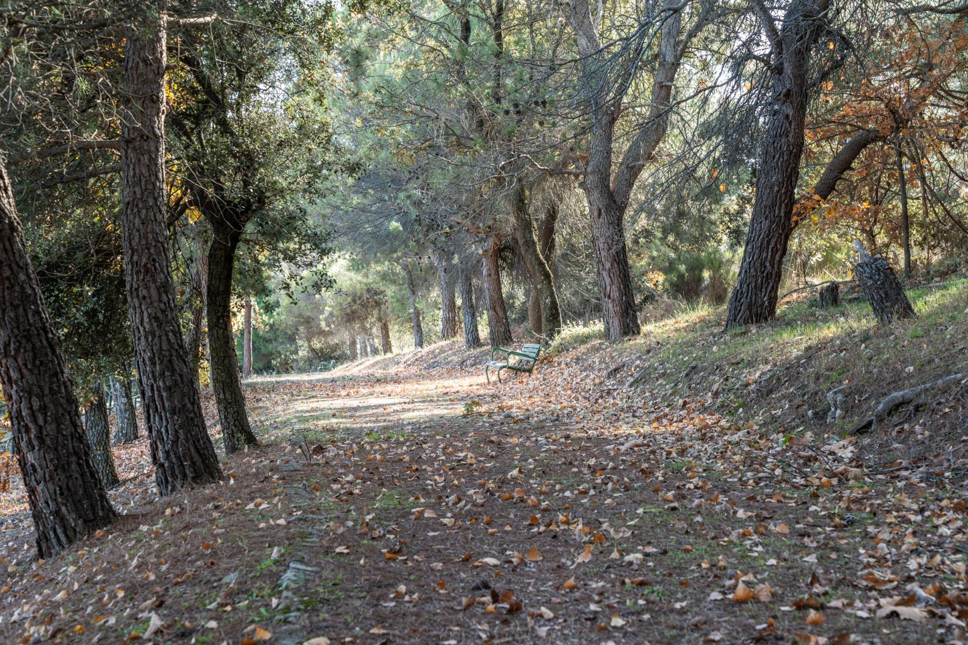 Pisos-Venta-Guadarrama-2015704-Foto-4