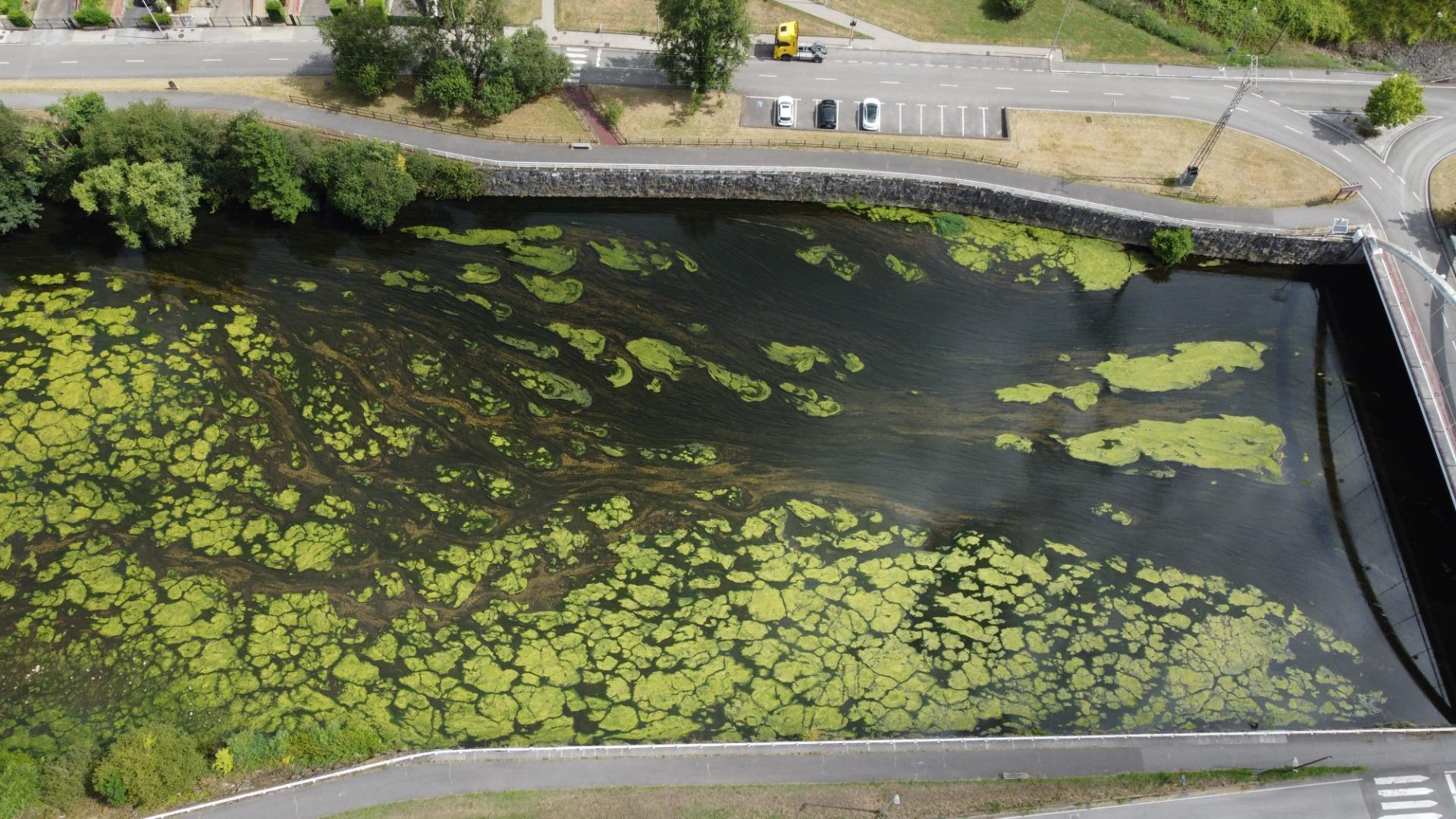 Casas o chalets-Venta-Ribera de Arriba-1830429-Foto-44