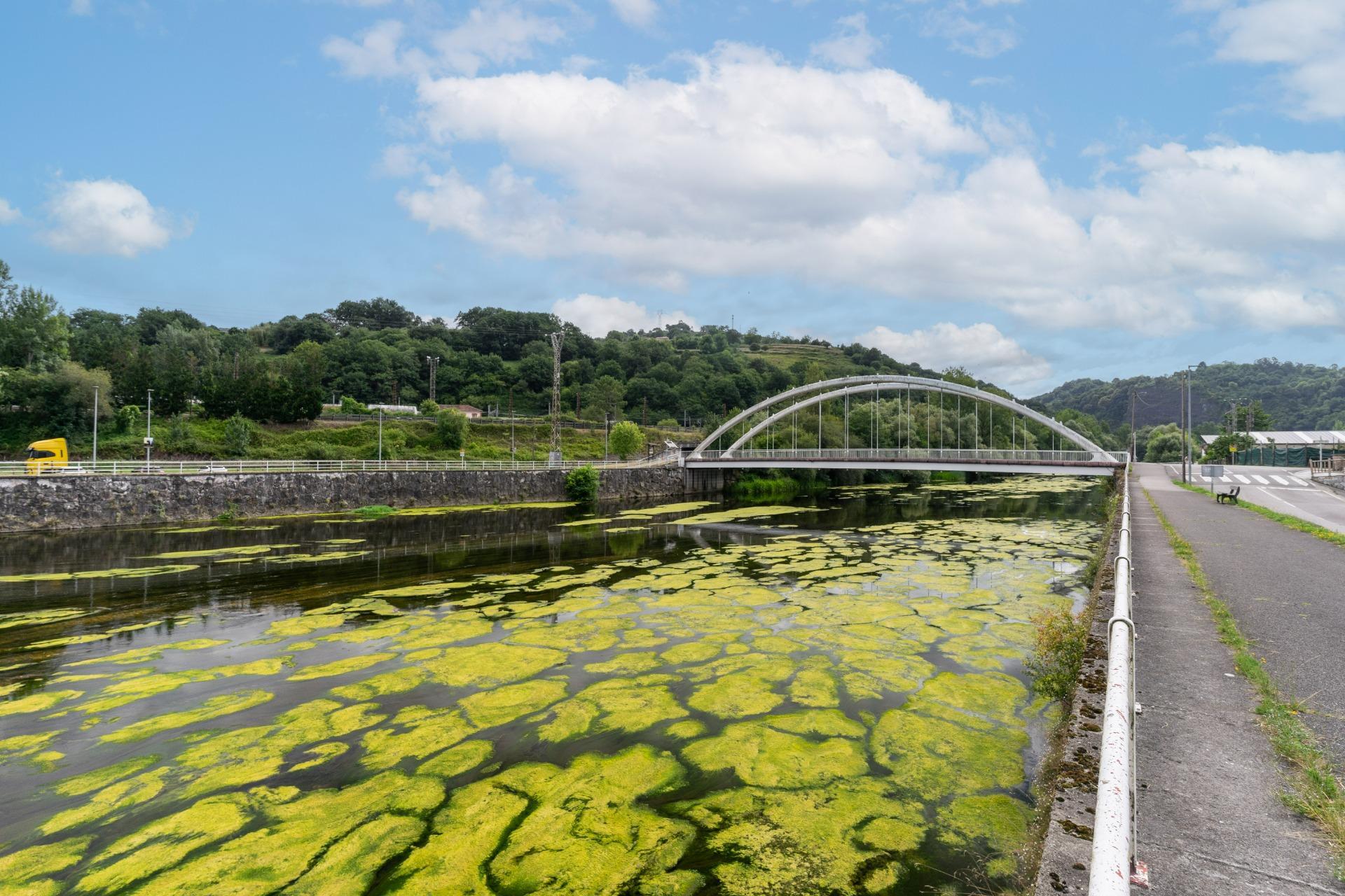 Casas o chalets-Venta-Ribera de Arriba-1830429-Foto-47