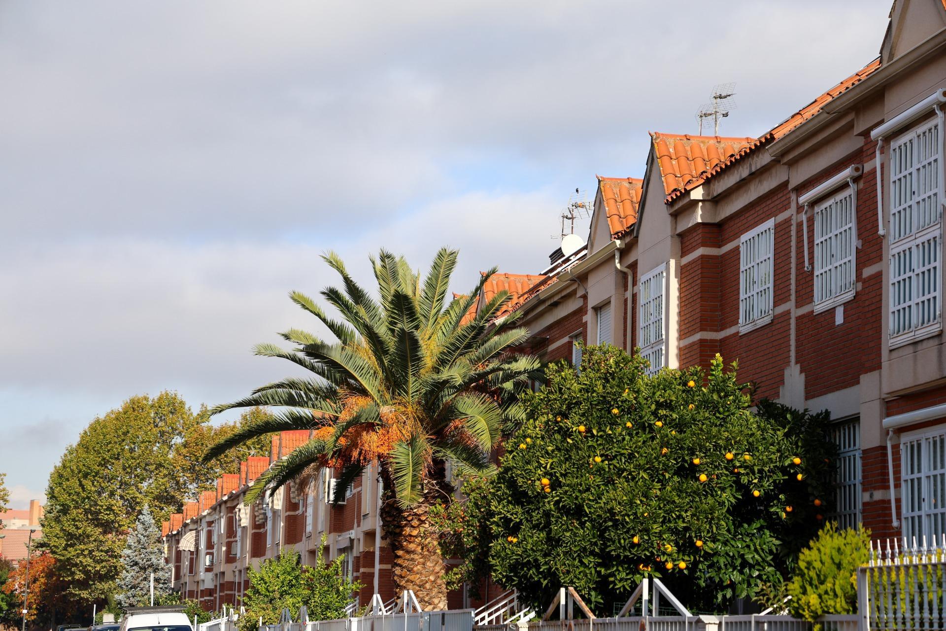 Casas o chalets-Venta-Madrid-2016095-Foto-2