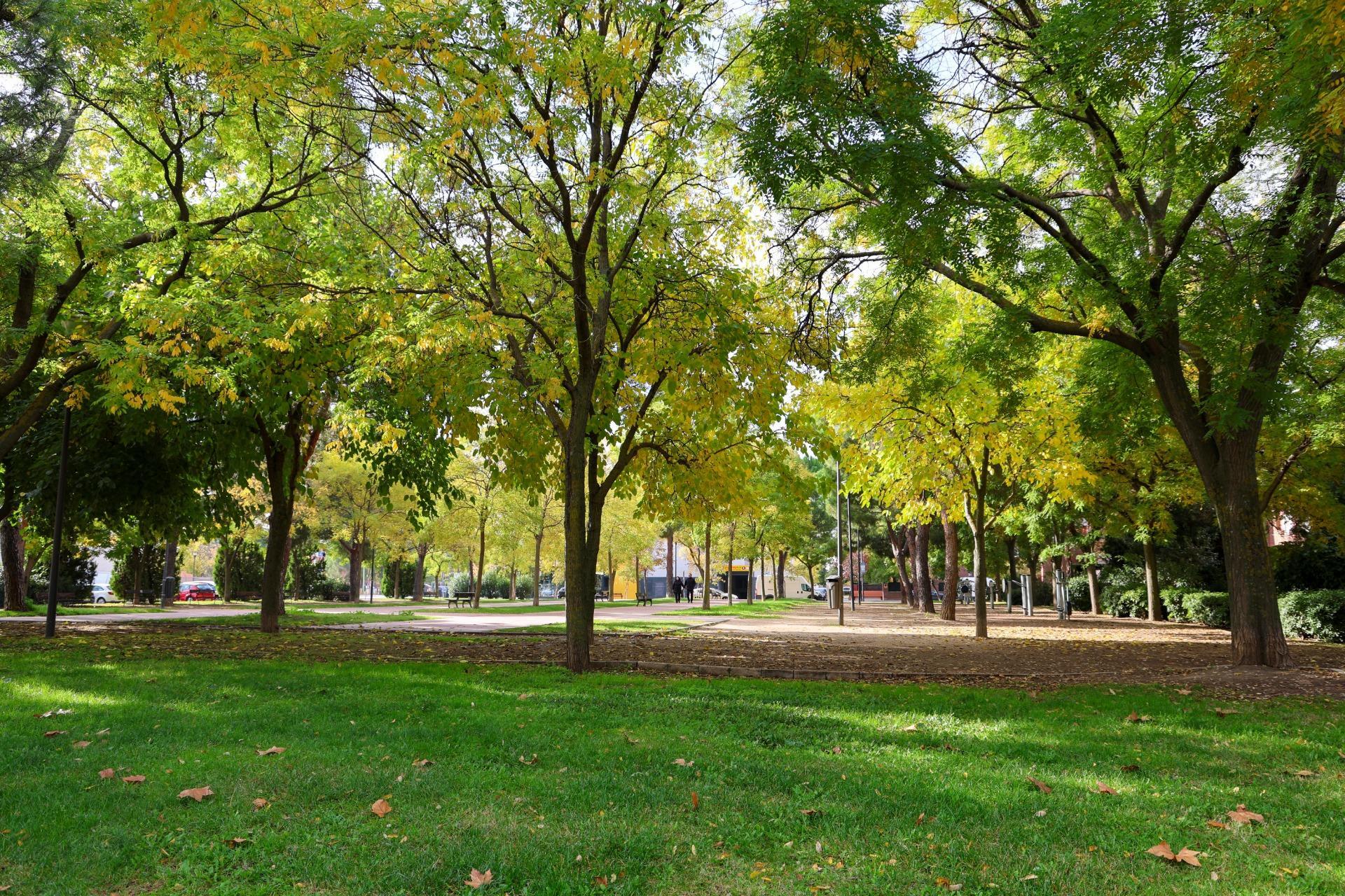 Casas o chalets-Venta-Madrid-2016095-Foto-39