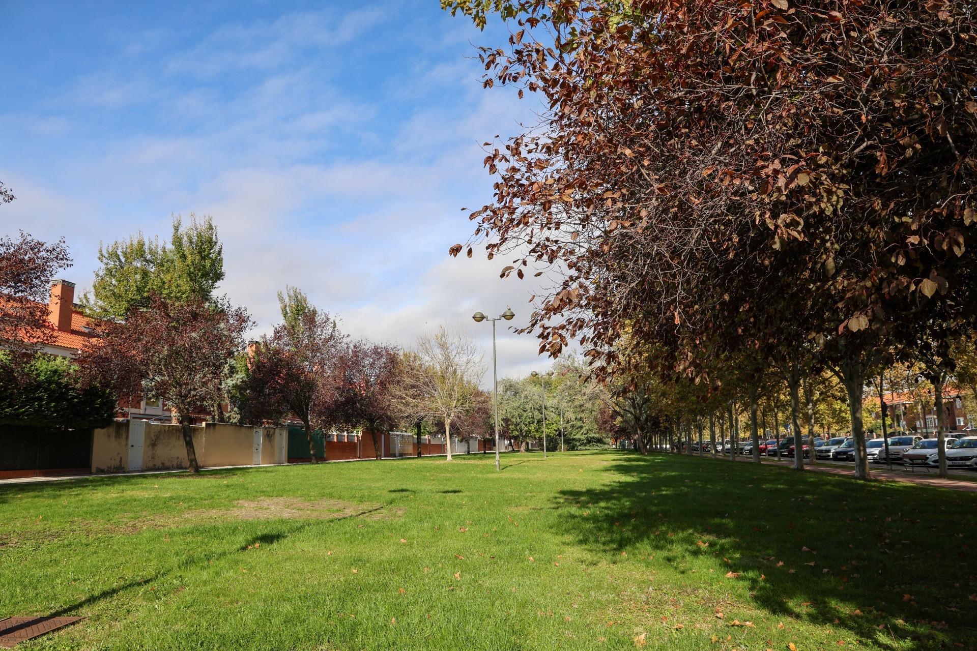 Casas o chalets-Venta-Madrid-2016095-Foto-41