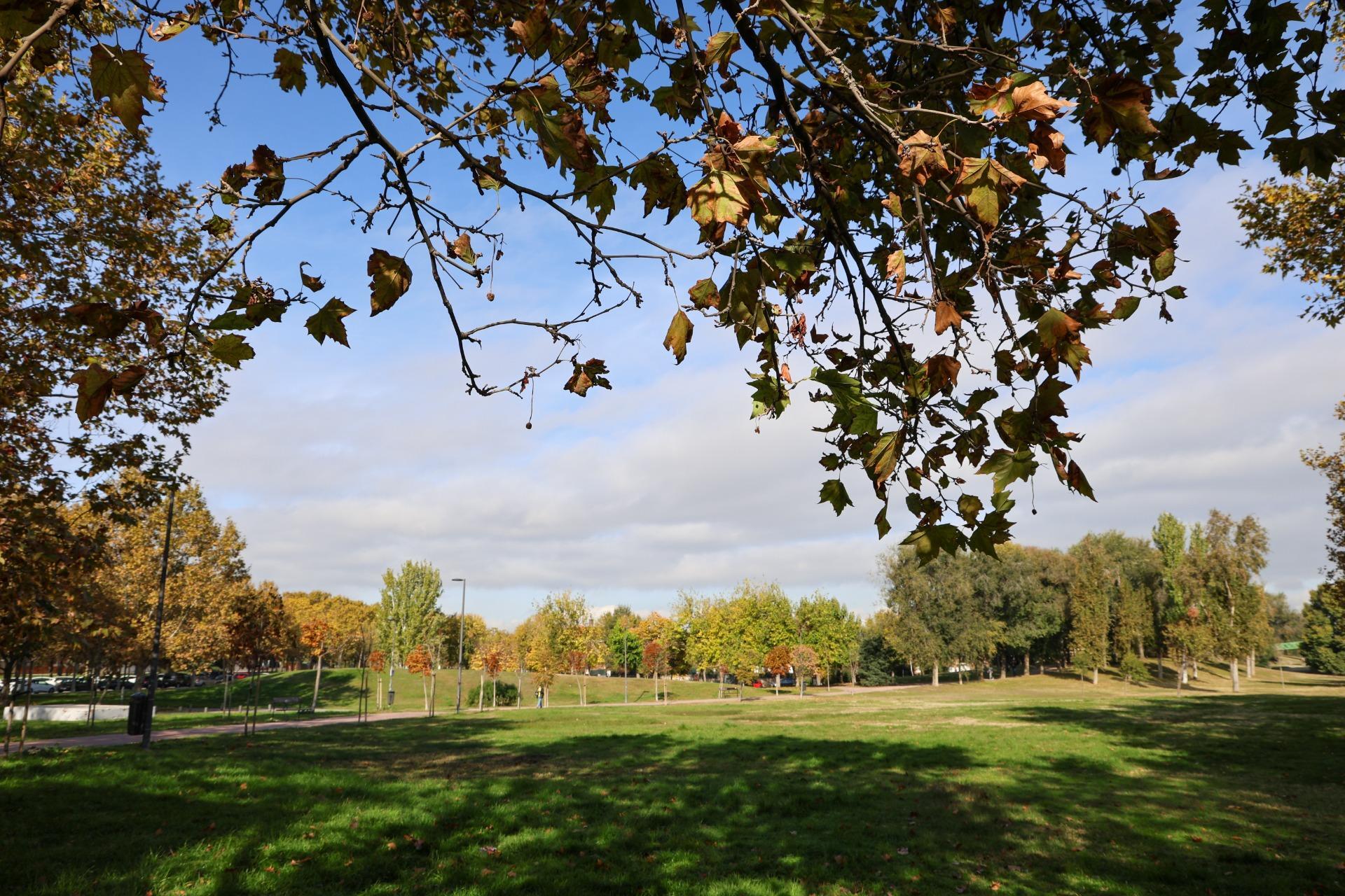 Casas o chalets-Venta-Madrid-2016095-Foto-46