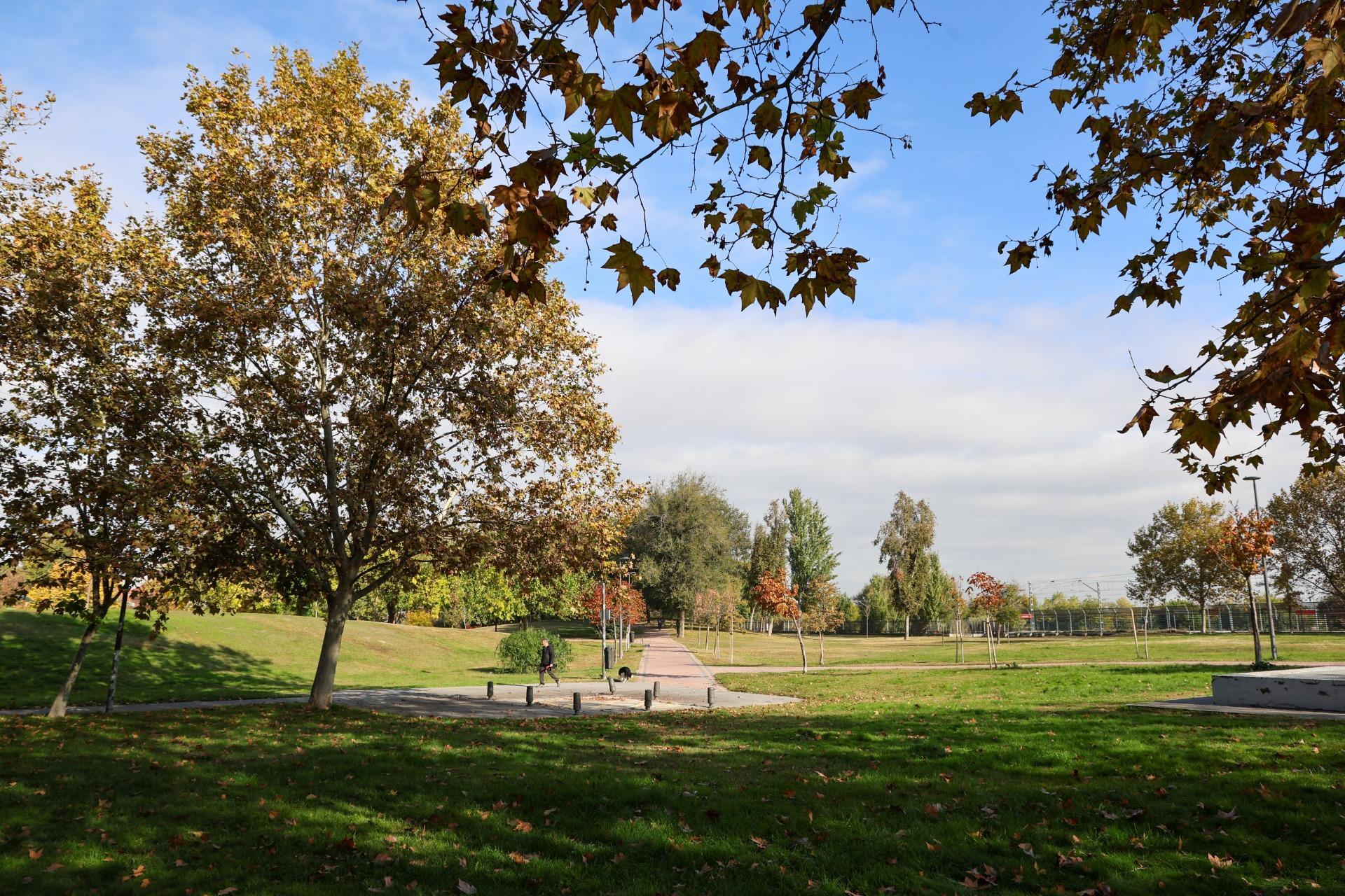 Casas o chalets-Venta-Madrid-2016095-Foto-43