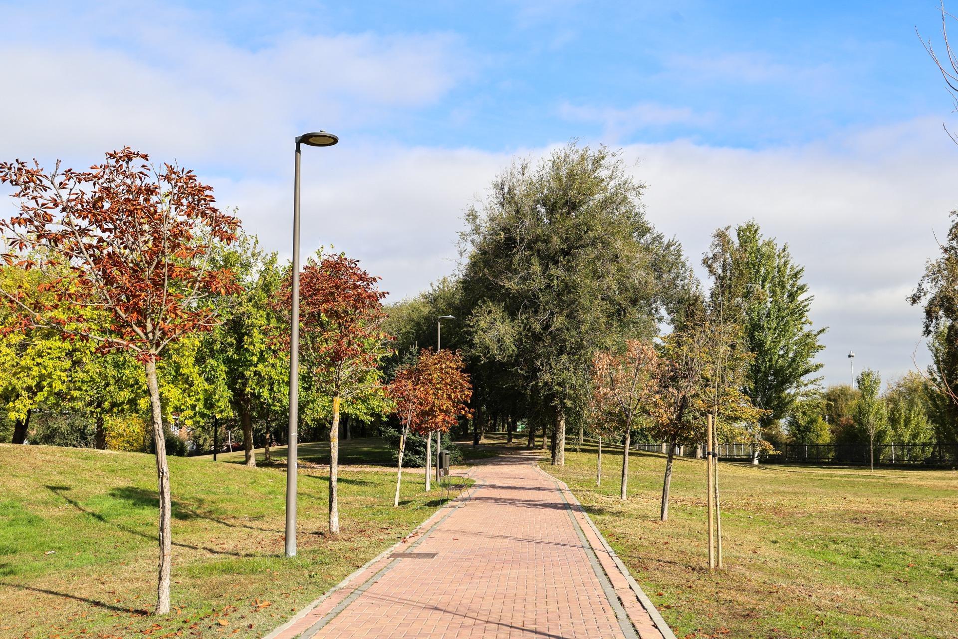 Casas o chalets-Venta-Madrid-2016095-Foto-48