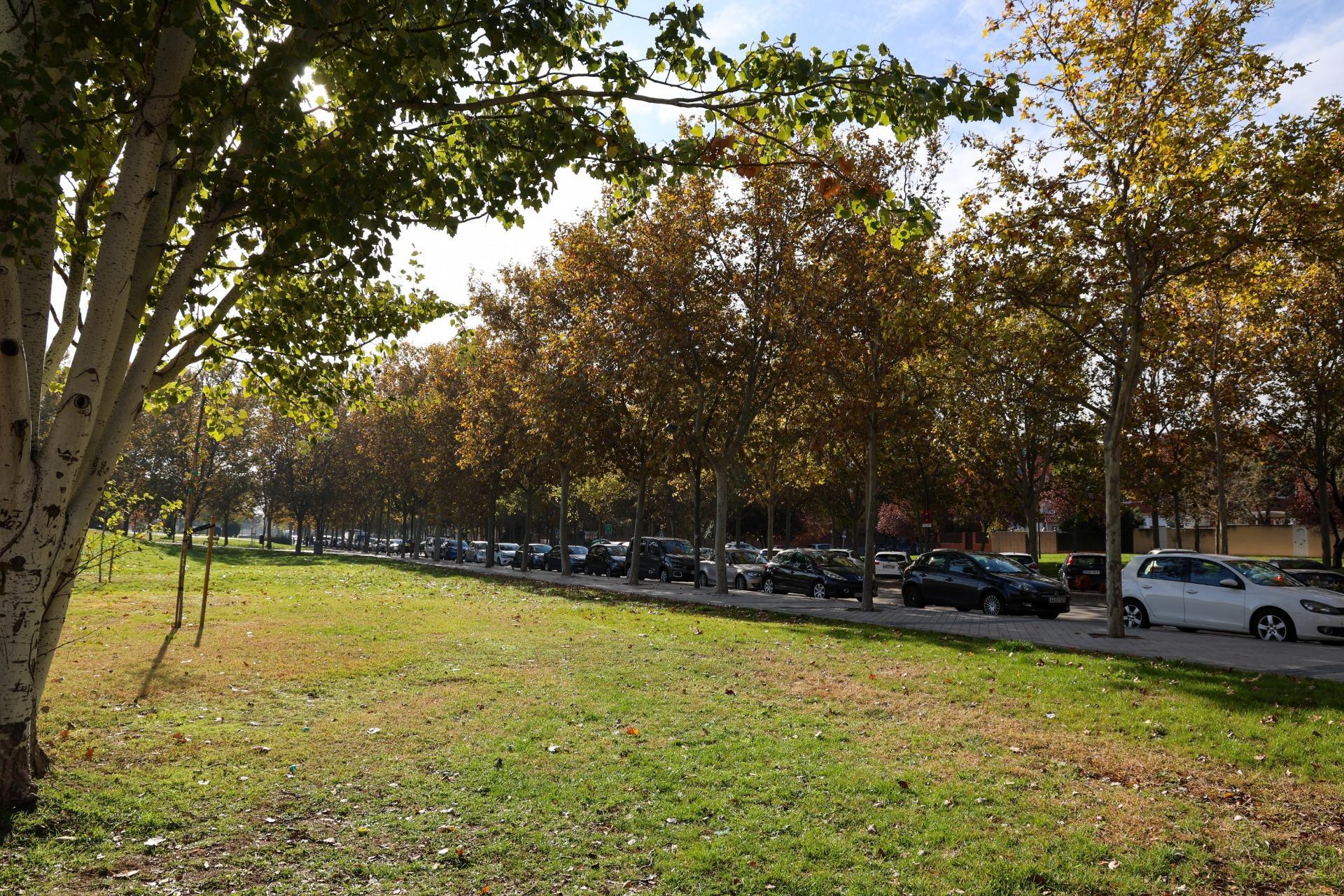 Casas o chalets-Venta-Madrid-2016095-Foto-52