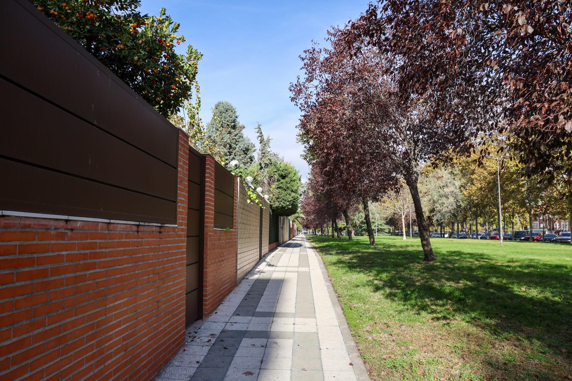Casas o chalets-Venta-Madrid-2016095-Foto-55