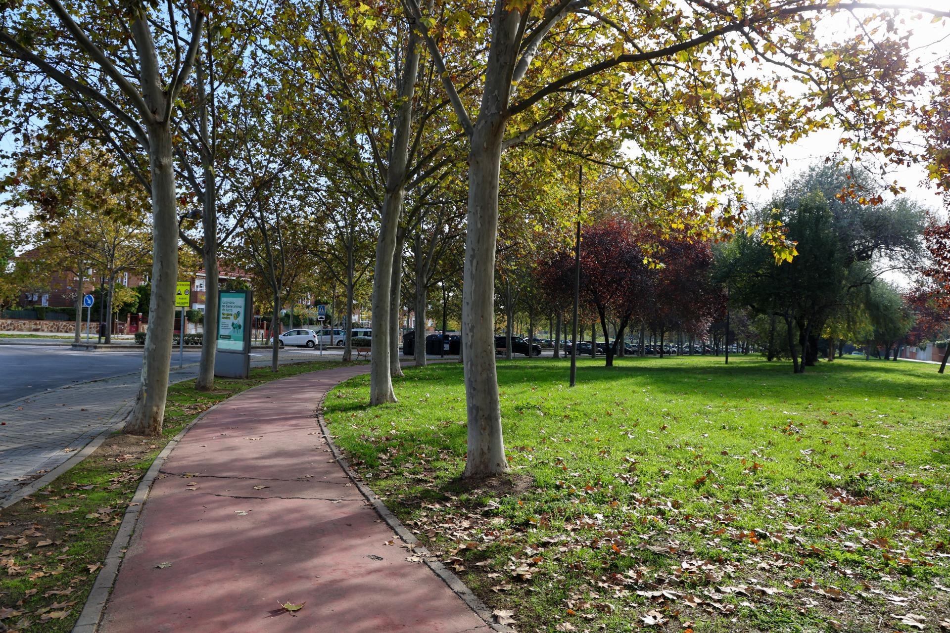 Casas o chalets-Venta-Madrid-2016095-Foto-57