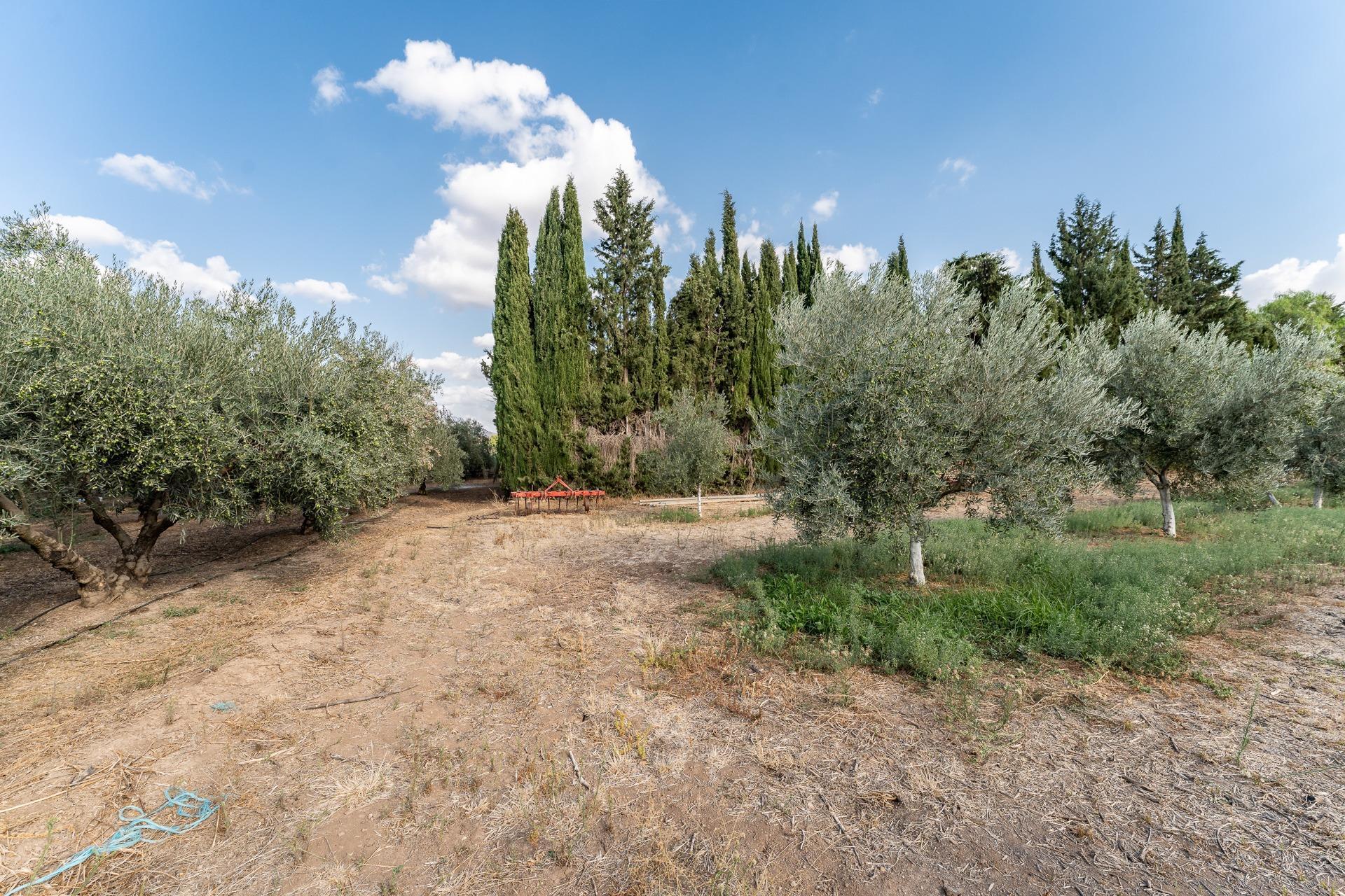 Casas o chalets-Venta-Antequera-1968963-Foto-61