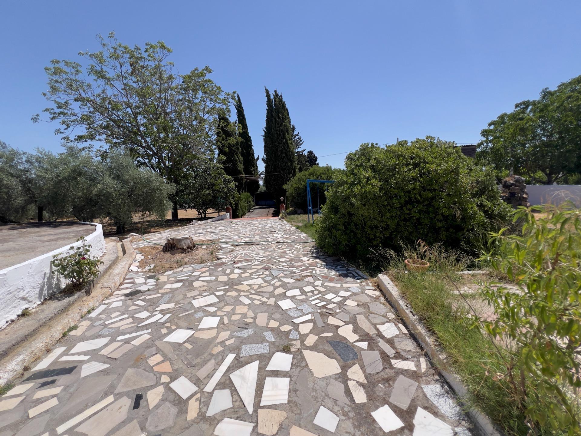 Casas o chalets-Venta-Moraleda de Zafayona-1768757-Foto-12