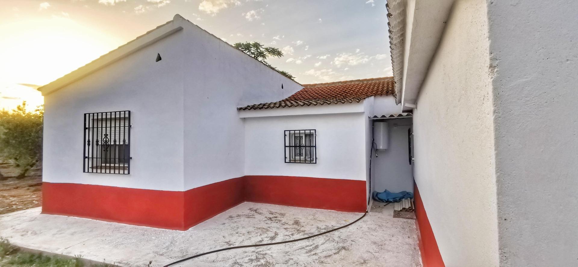 Casas o chalets-Venta-Moraleda de Zafayona-1768757-Foto-22