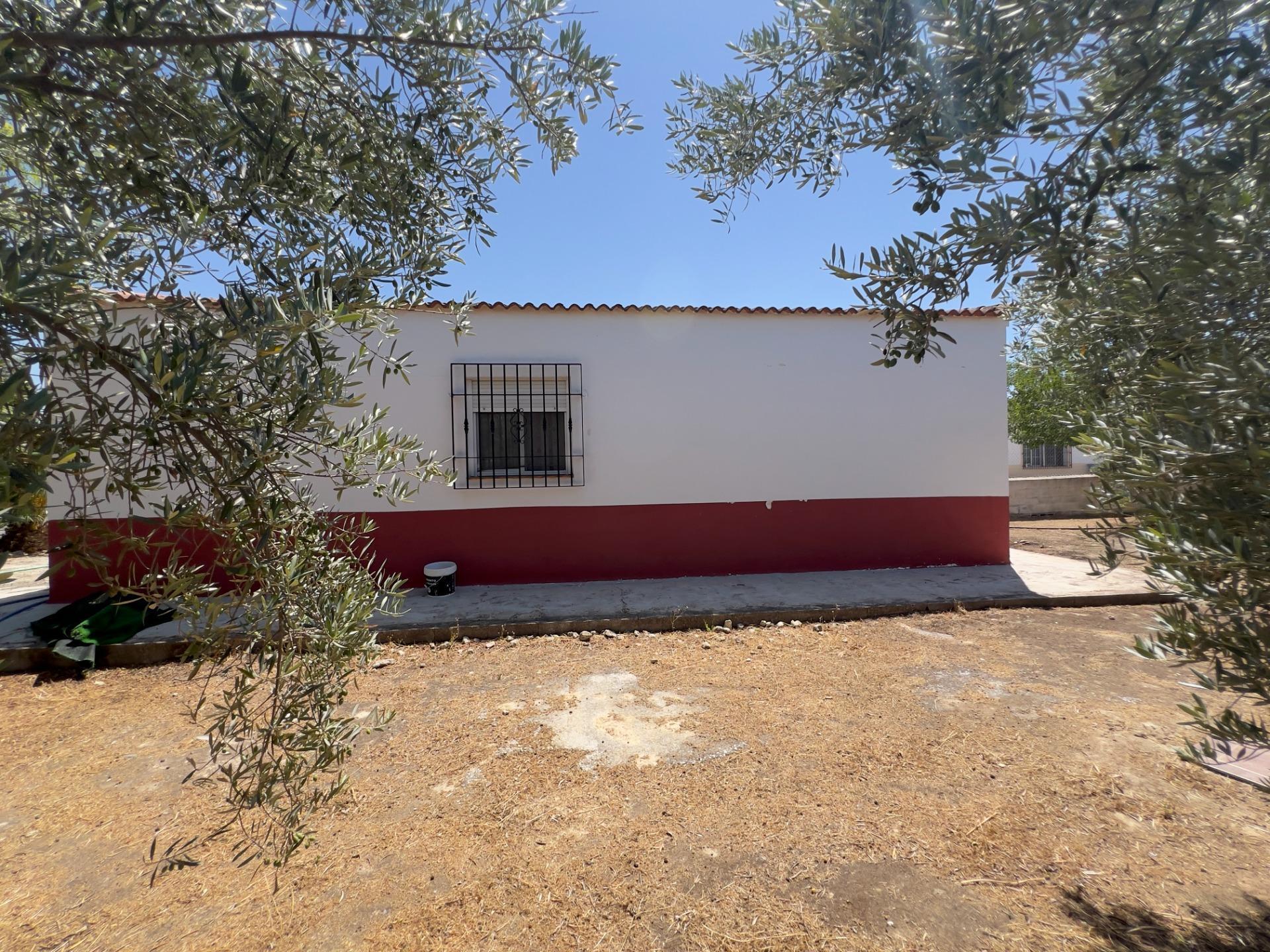 Casas o chalets-Venta-Moraleda de Zafayona-1768757-Foto-23