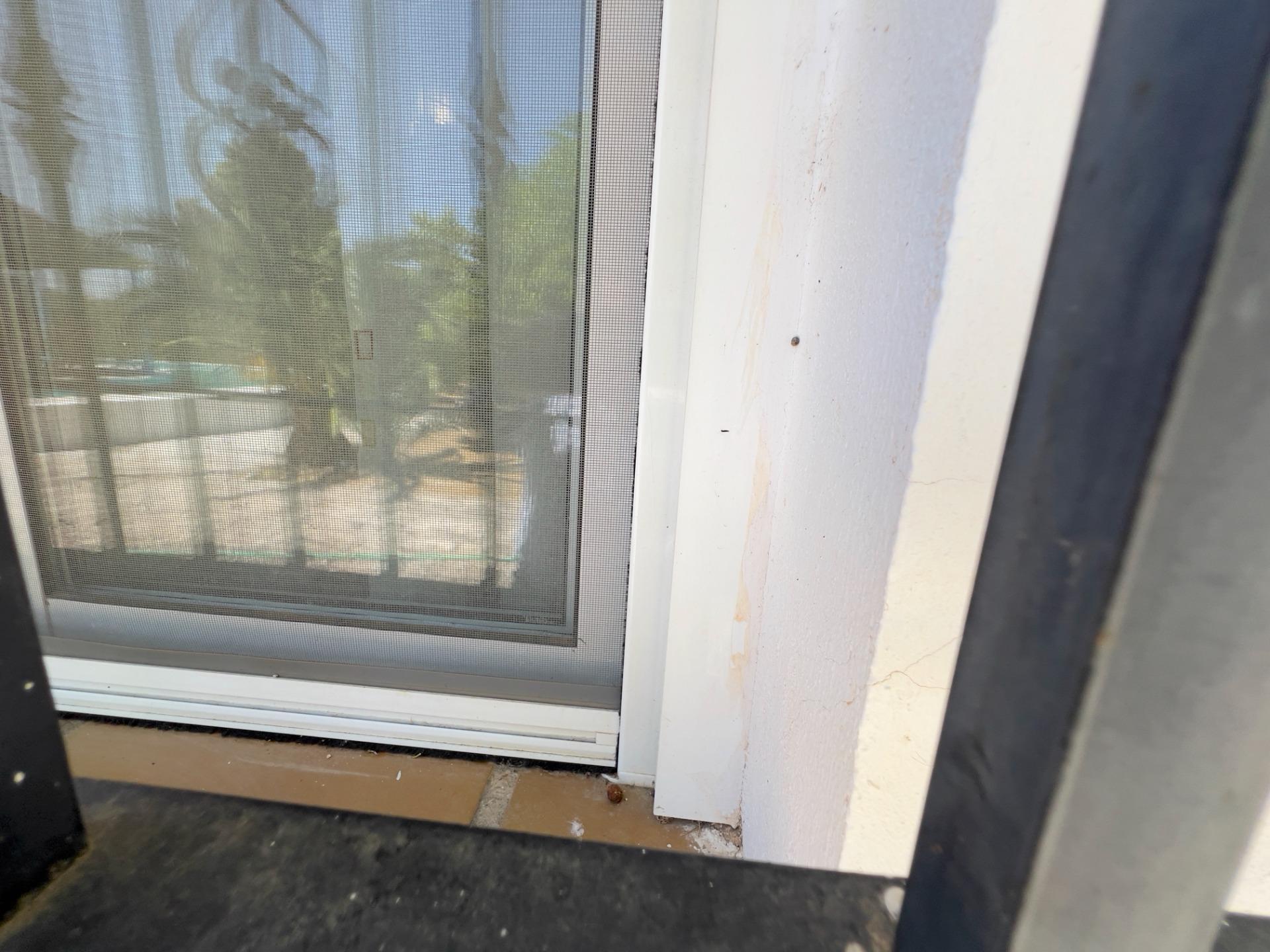 Casas o chalets-Venta-Moraleda de Zafayona-1768757-Foto-53