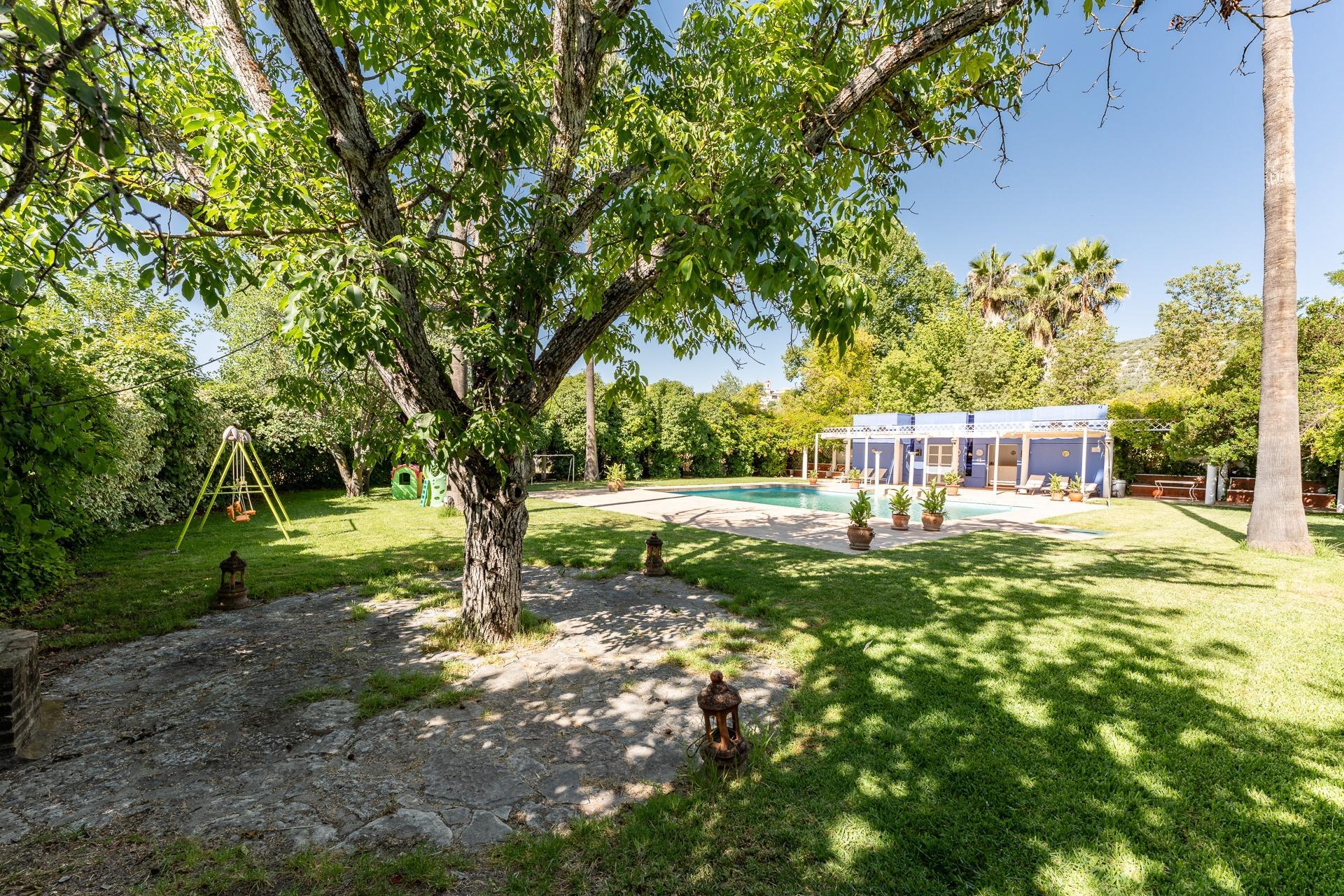 Casas o chalets-Venta-Rute-1658263-Foto-4