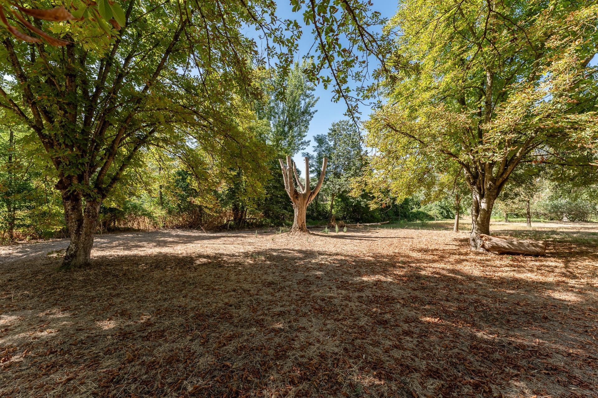 Casas o chalets-Venta-Rute-1658263-Foto-10