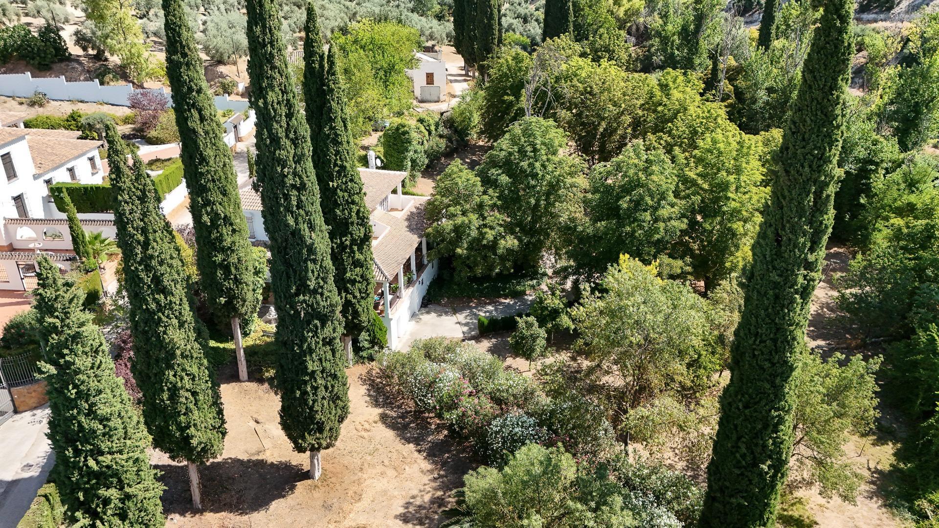 Casas o chalets-Venta-Rute-1658263-Foto-12