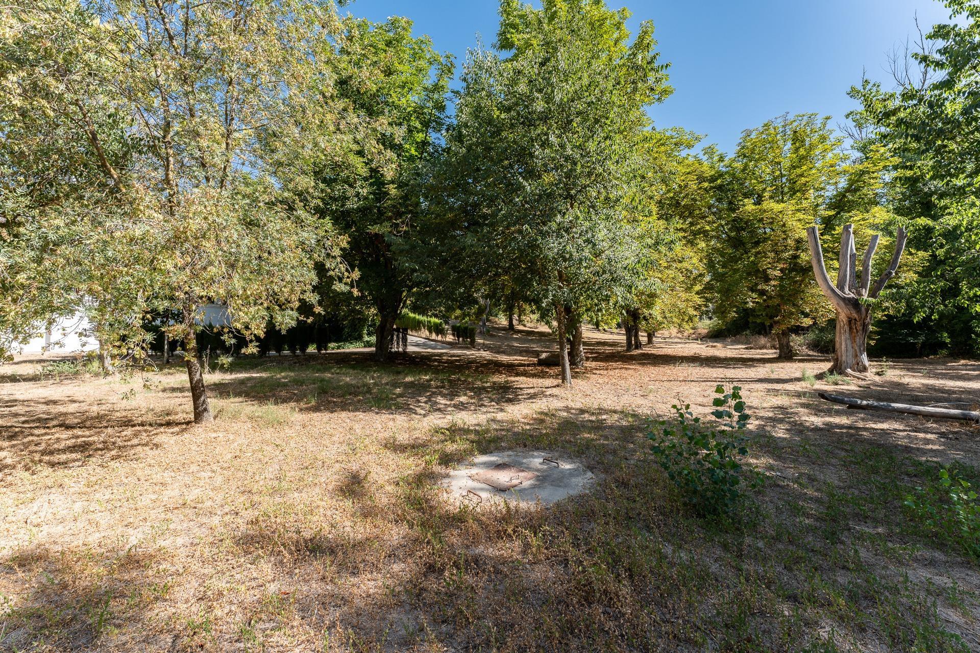 Casas o chalets-Venta-Rute-1658263-Foto-11