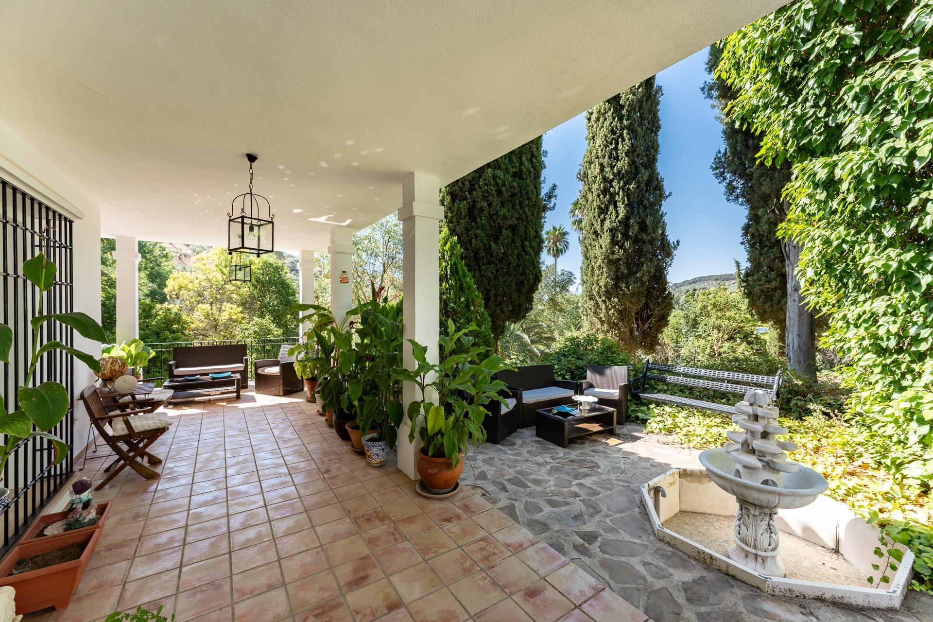 Casas o chalets-Venta-Rute-1658263-Foto-17