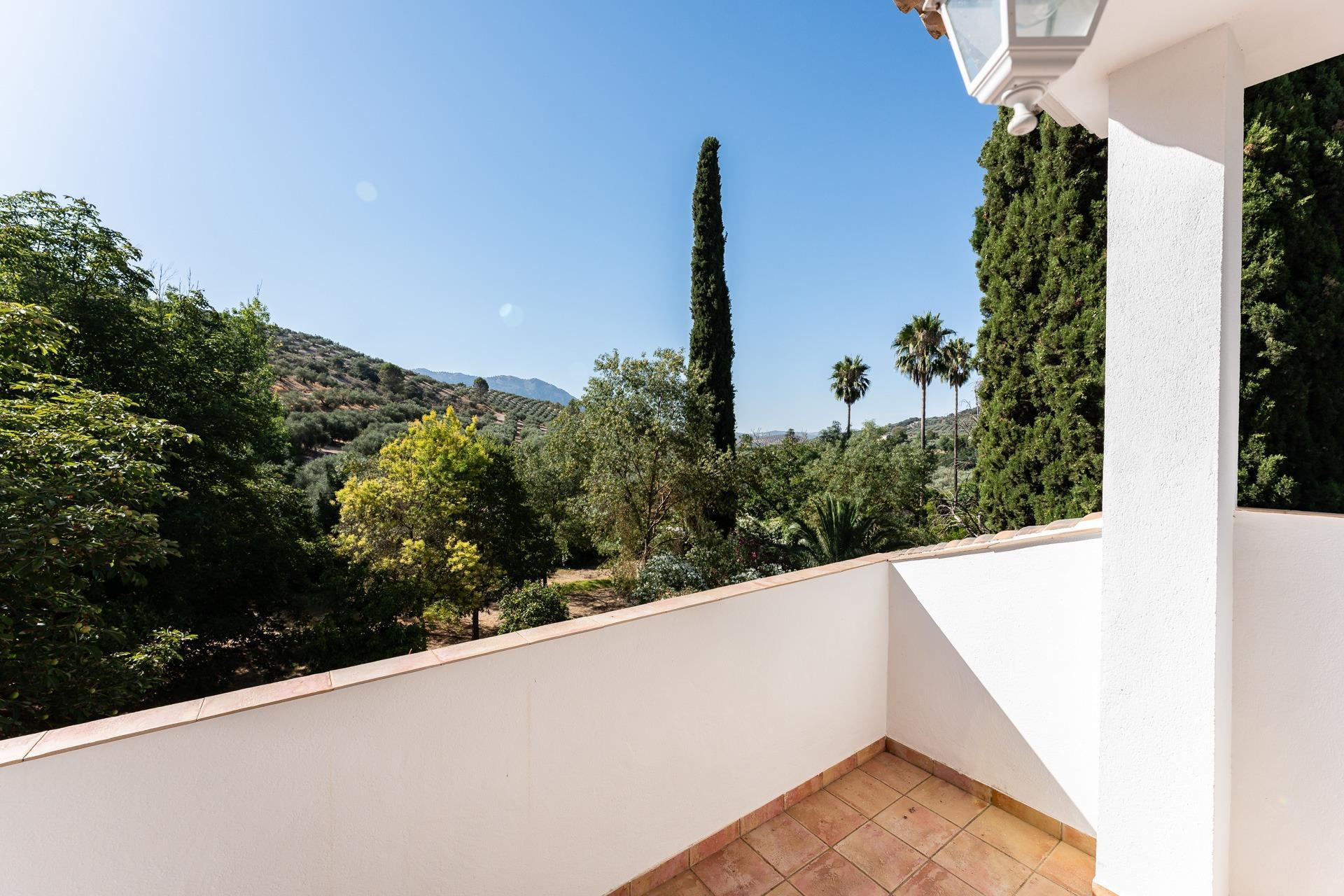 Casas o chalets-Venta-Rute-1658263-Foto-48