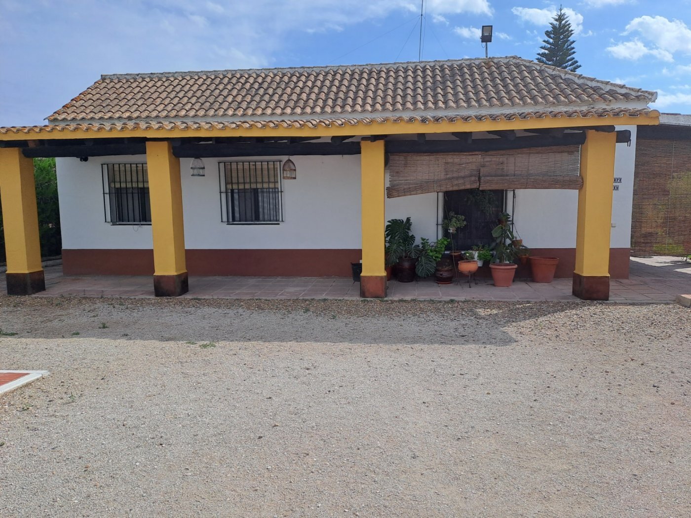 Casas o chalets-Venta-Cantillana-2036150-Foto-3